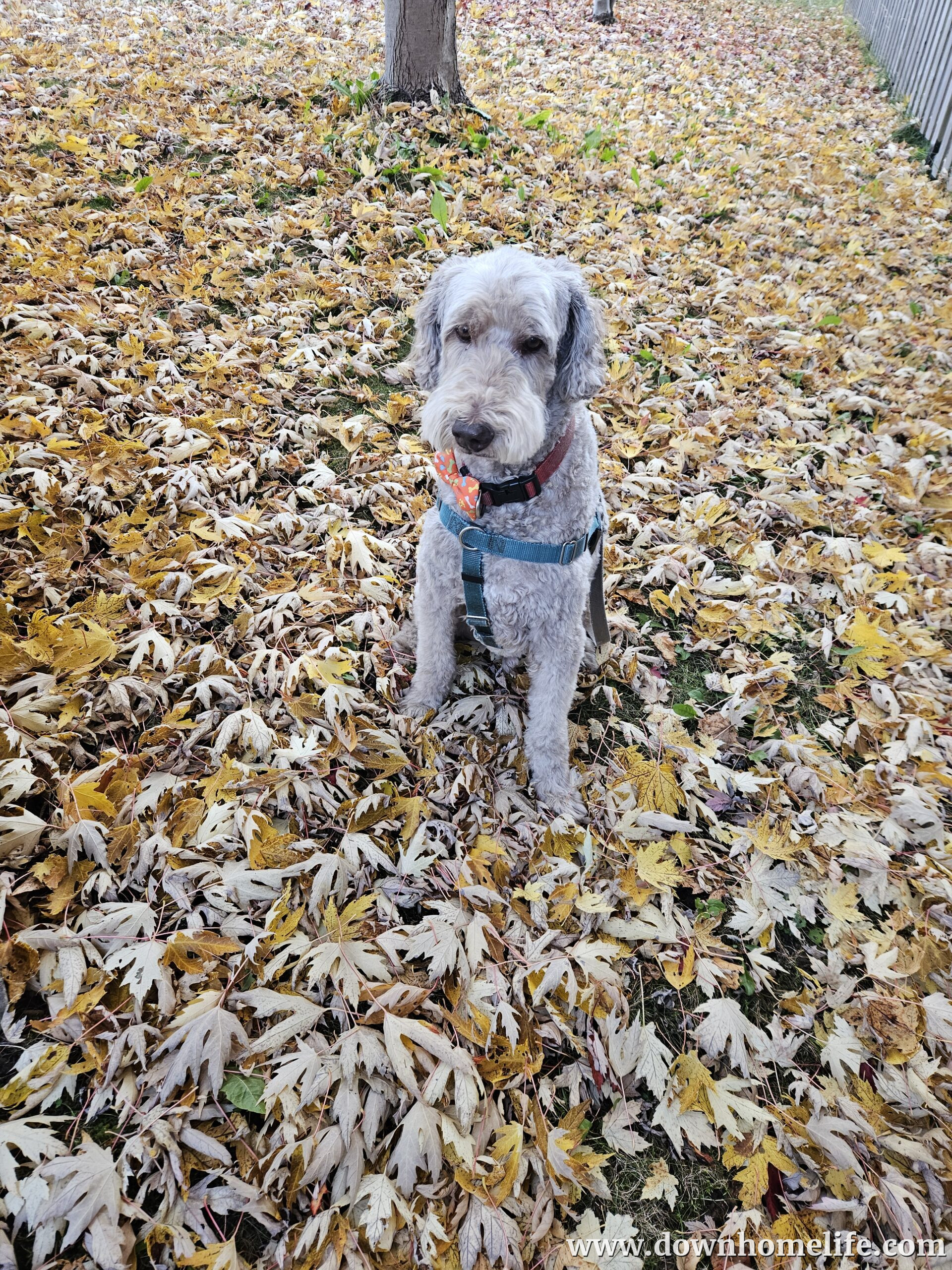 Main Gallery Display