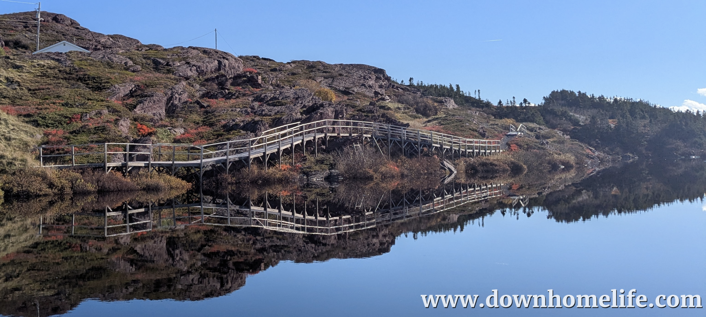 Main Gallery Display