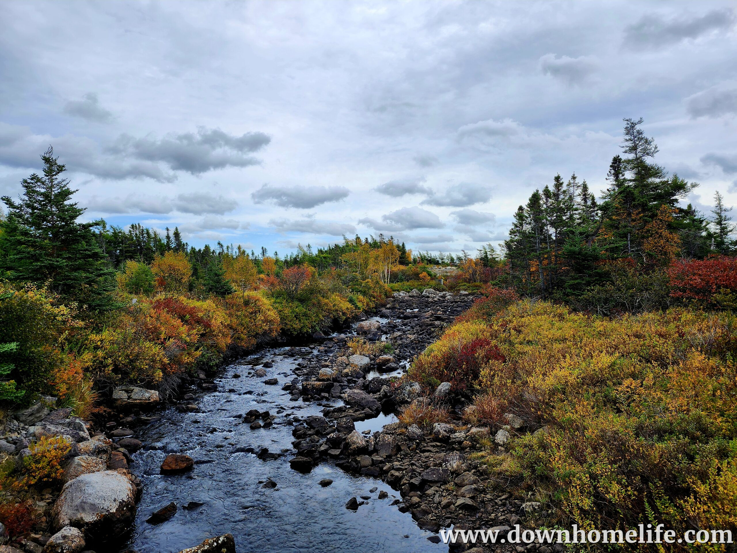 Main Gallery Display