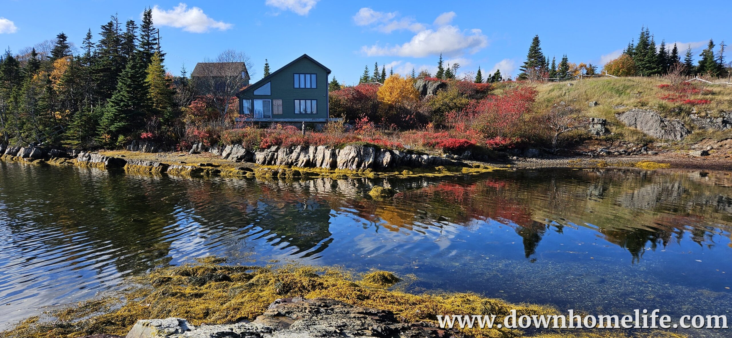 Main Gallery Display