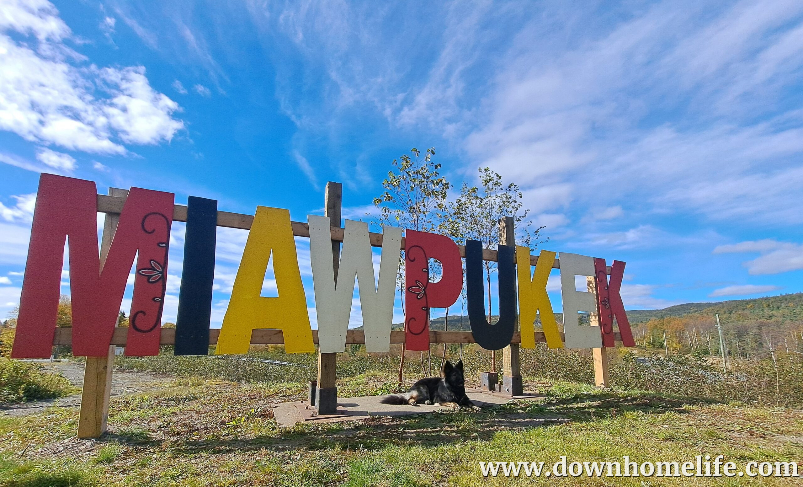 Main Gallery Display