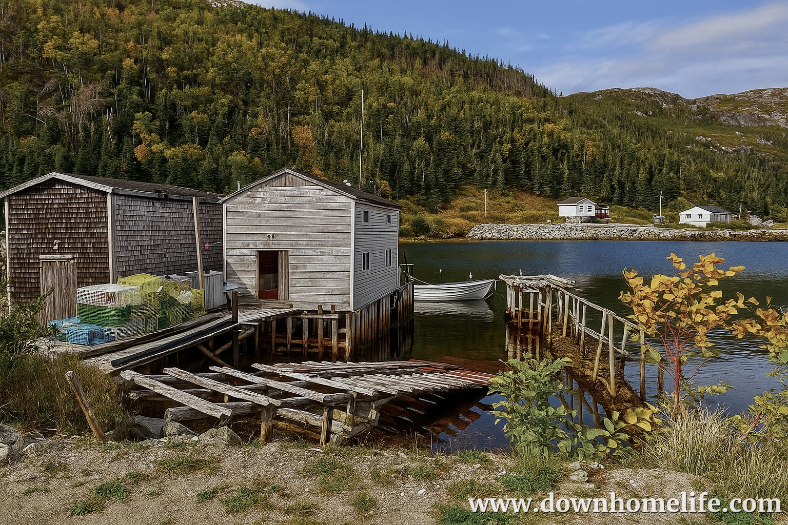 Main Gallery Display