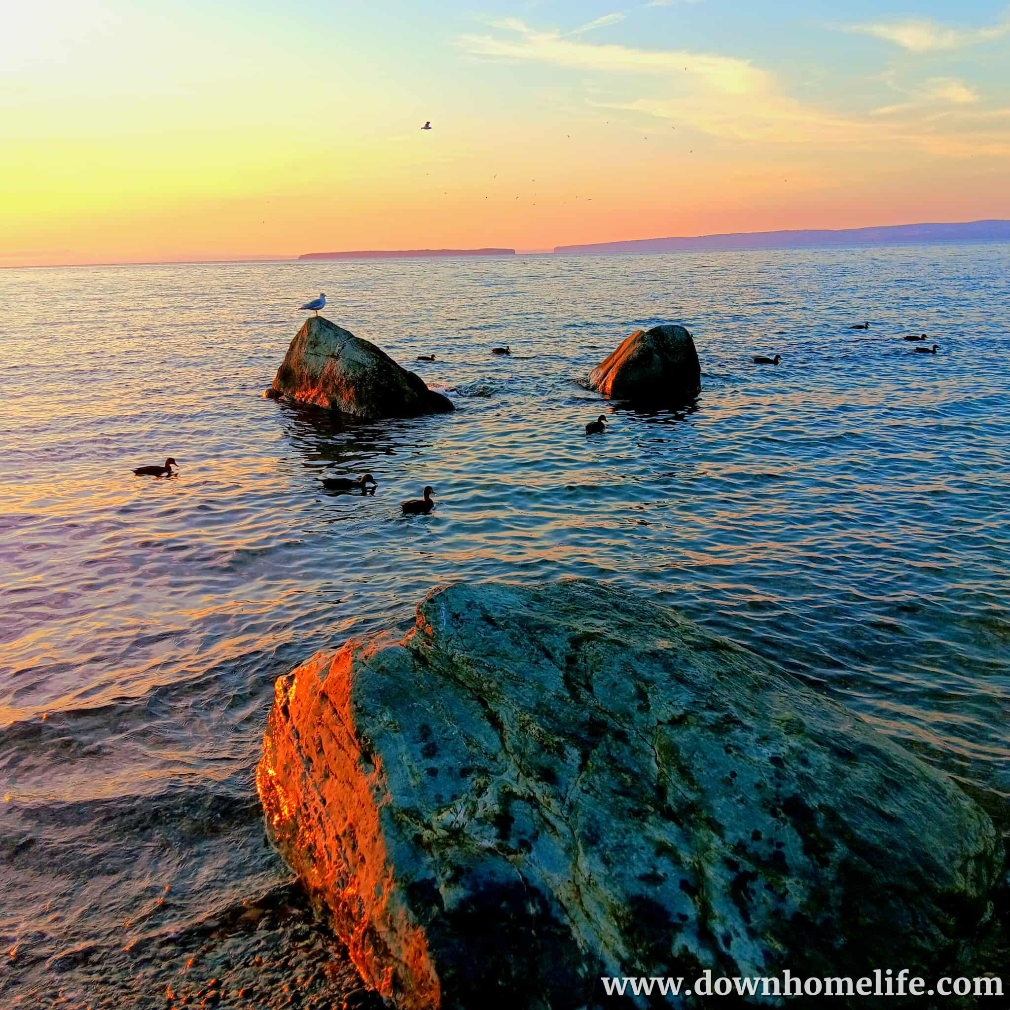 Main Gallery Display