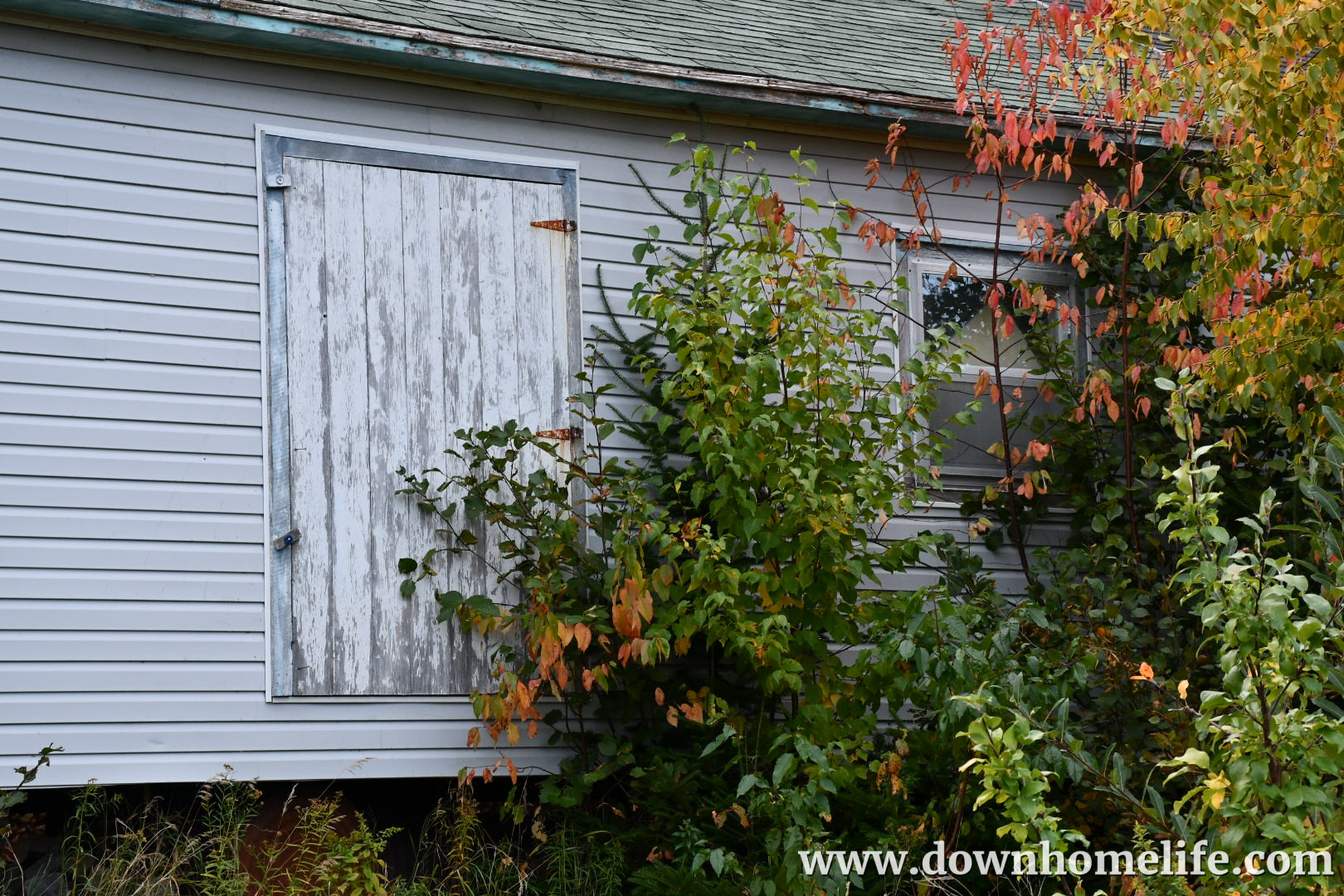 Main Gallery Display
