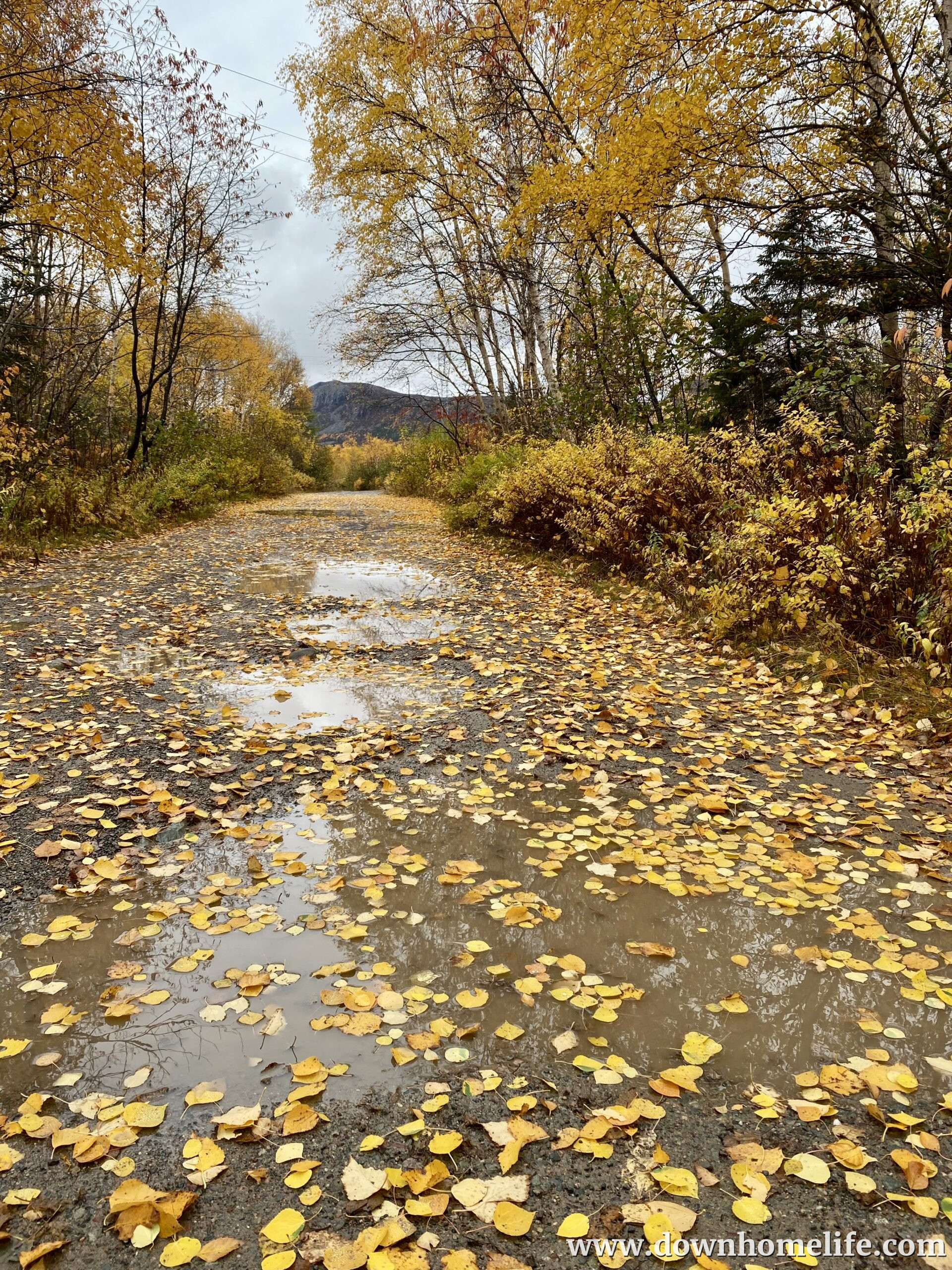 Main Gallery Display
