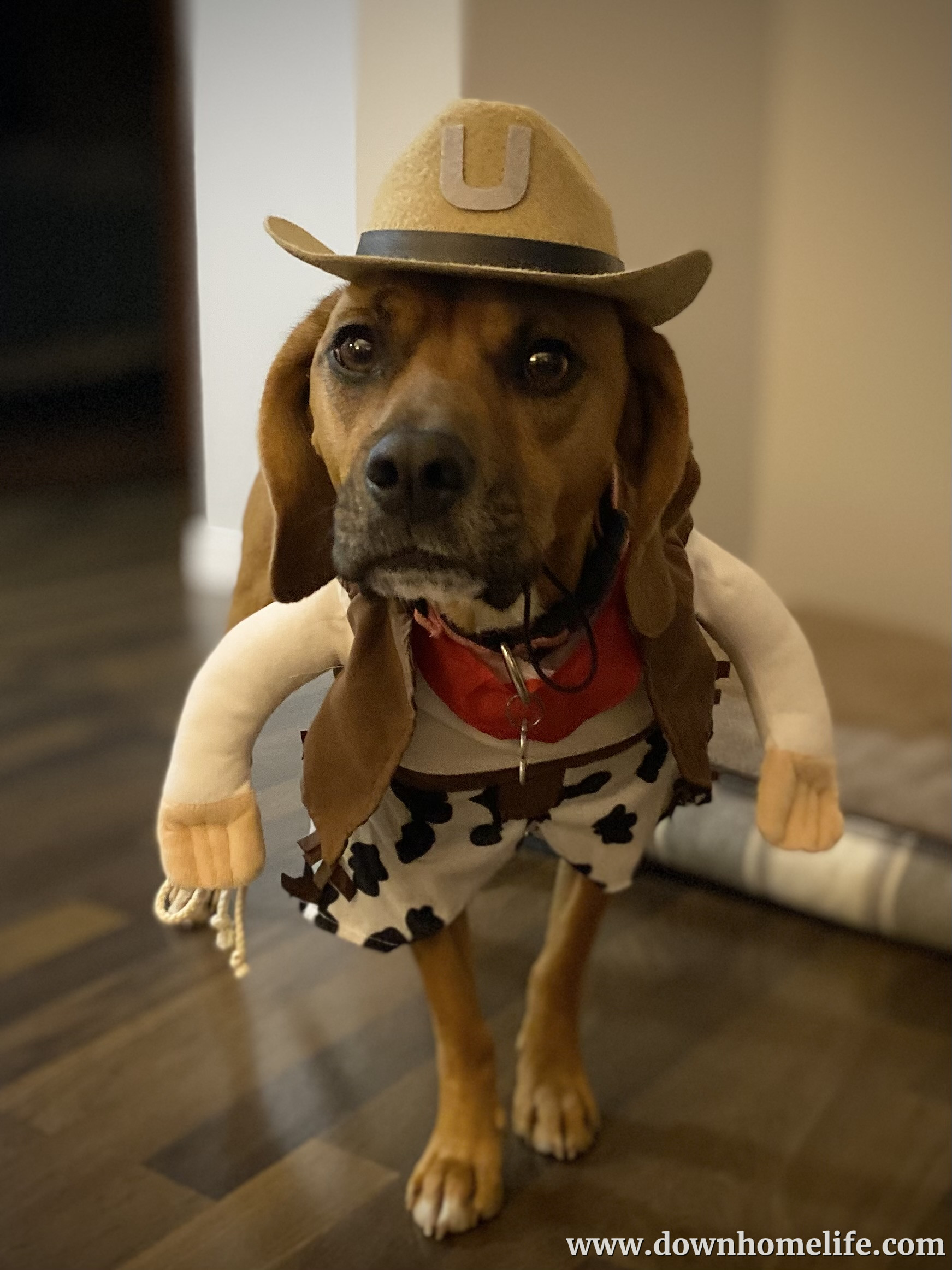 Main Gallery Display