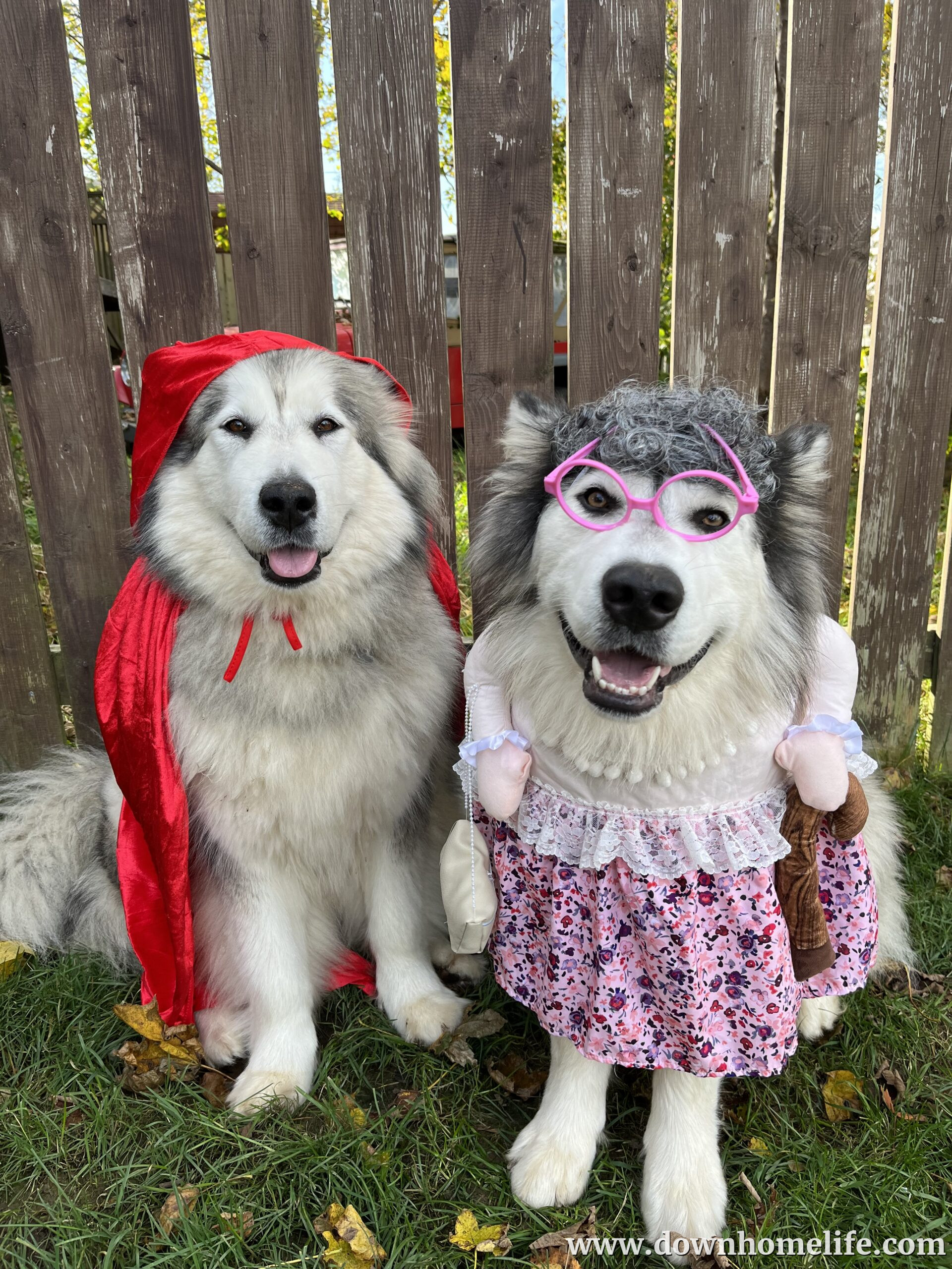 Main Gallery Display