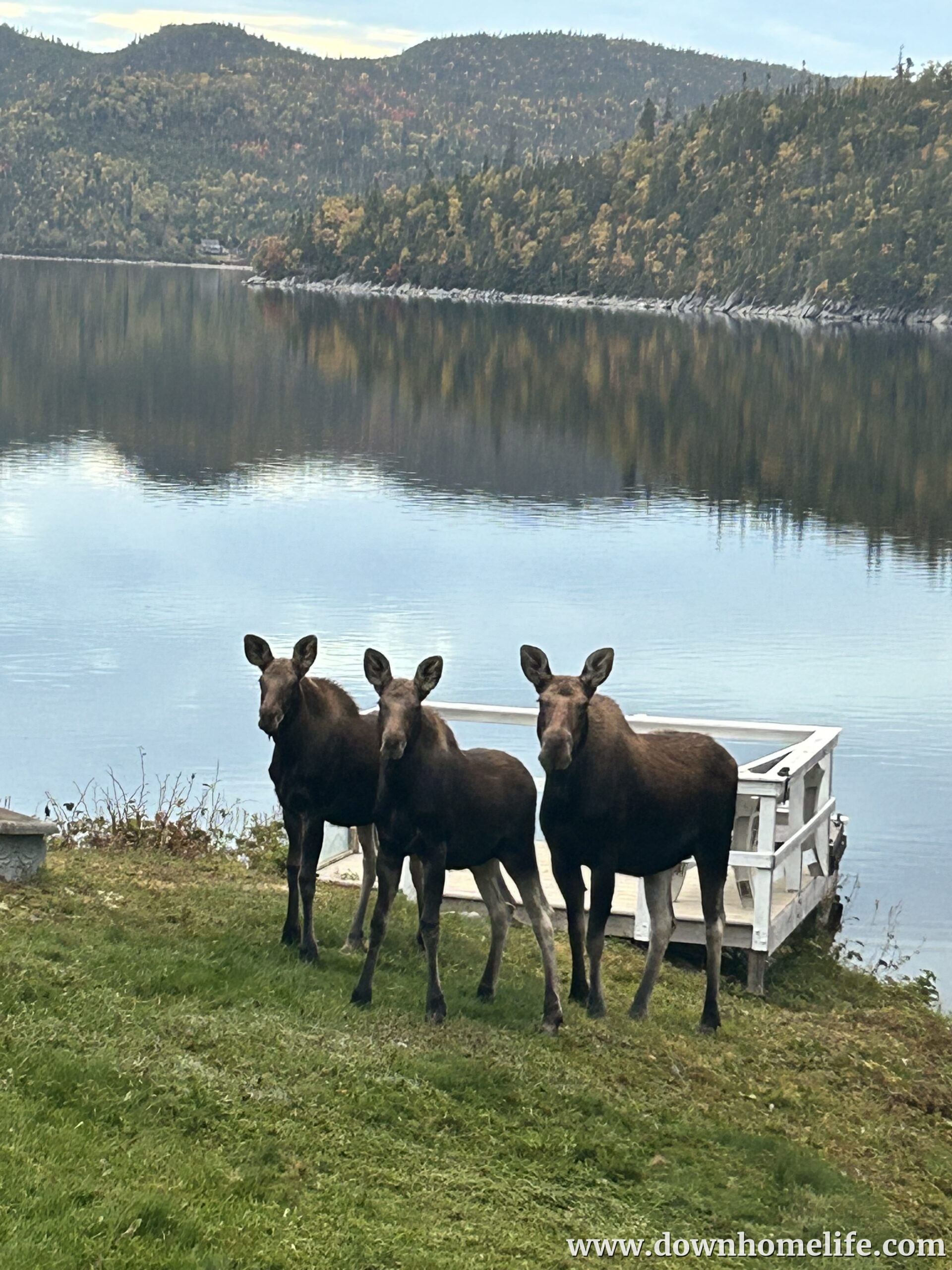 Main Gallery Display