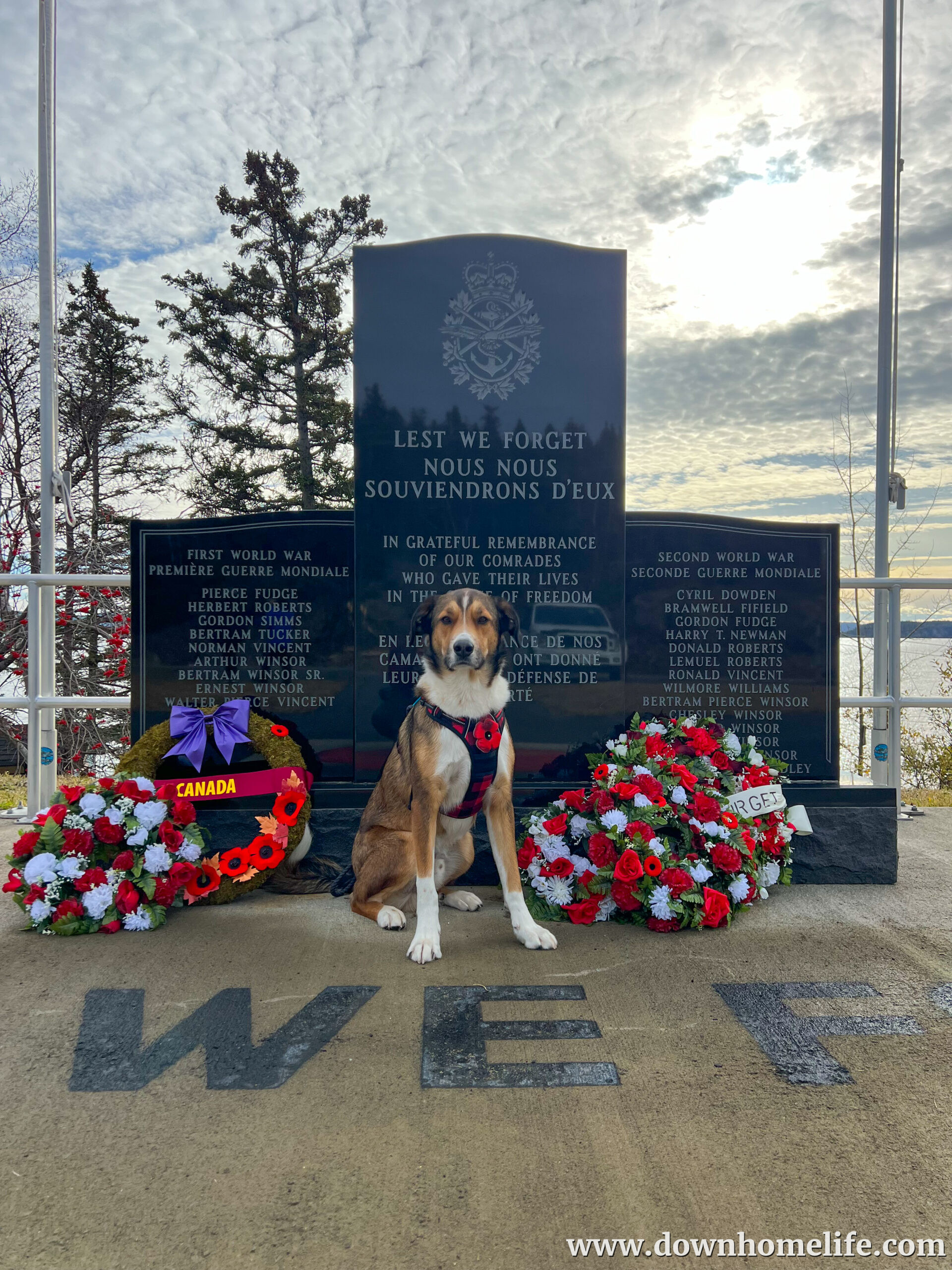 Main Gallery Display
