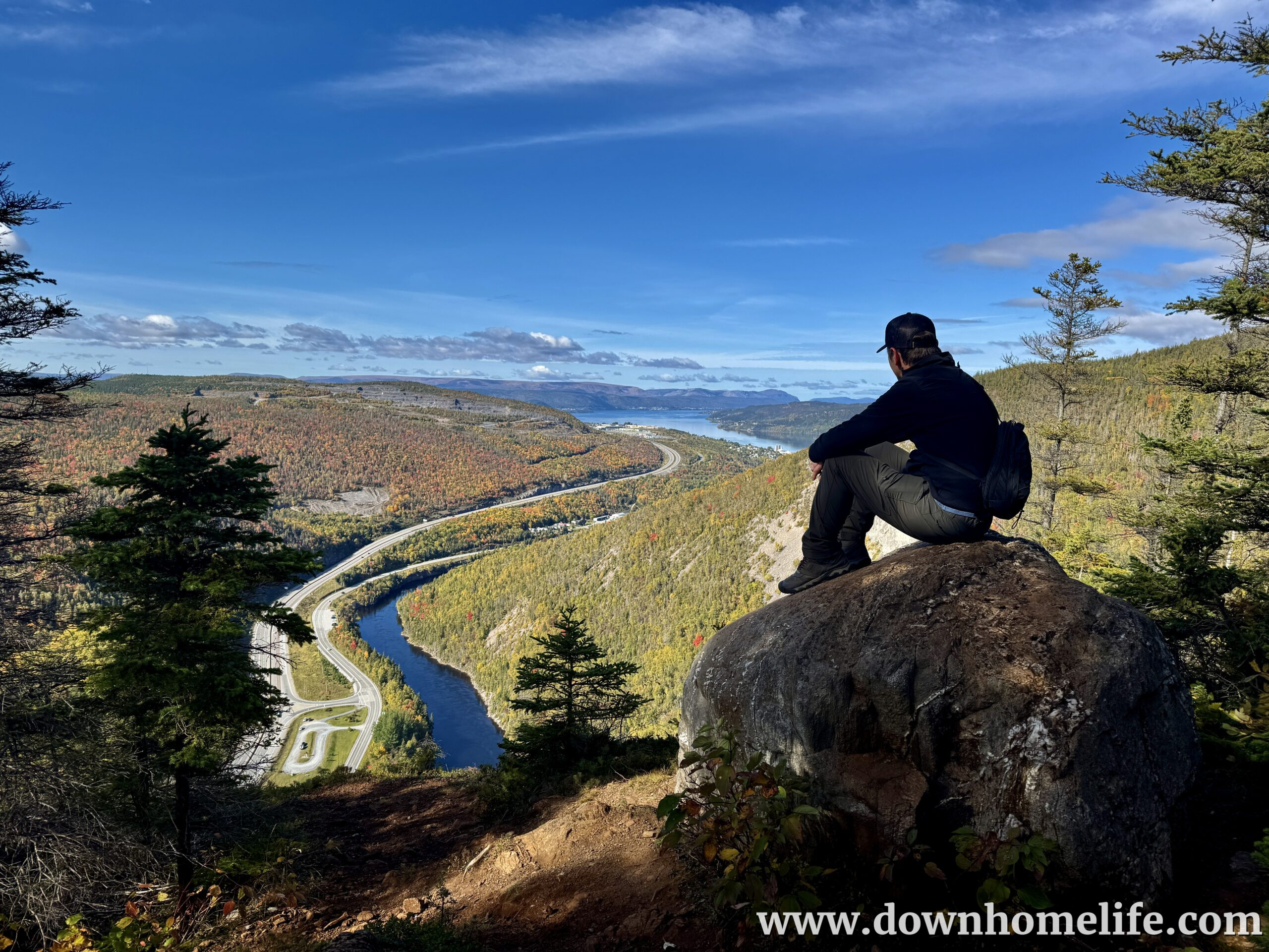Main Gallery Display
