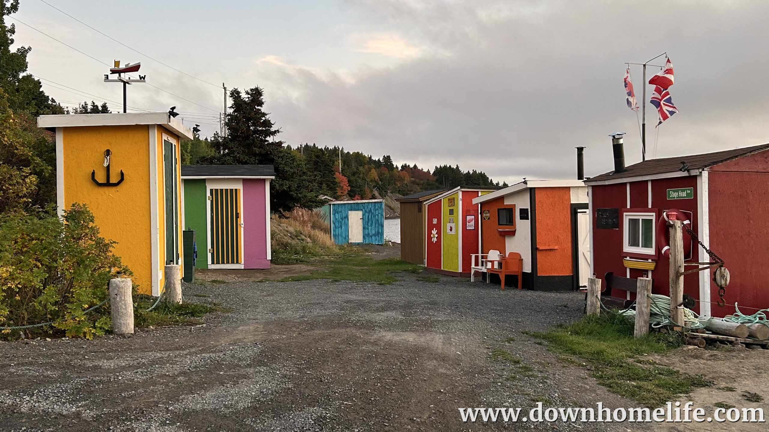 Main Gallery Display