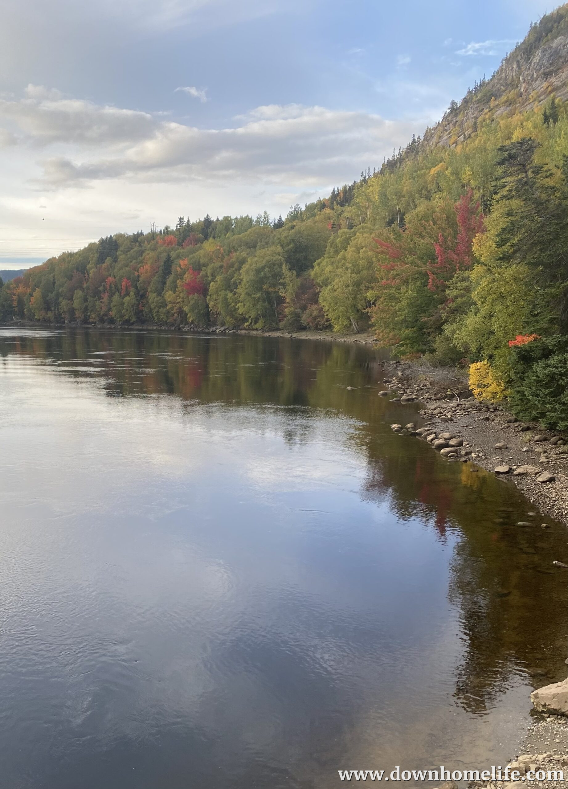 Main Gallery Display