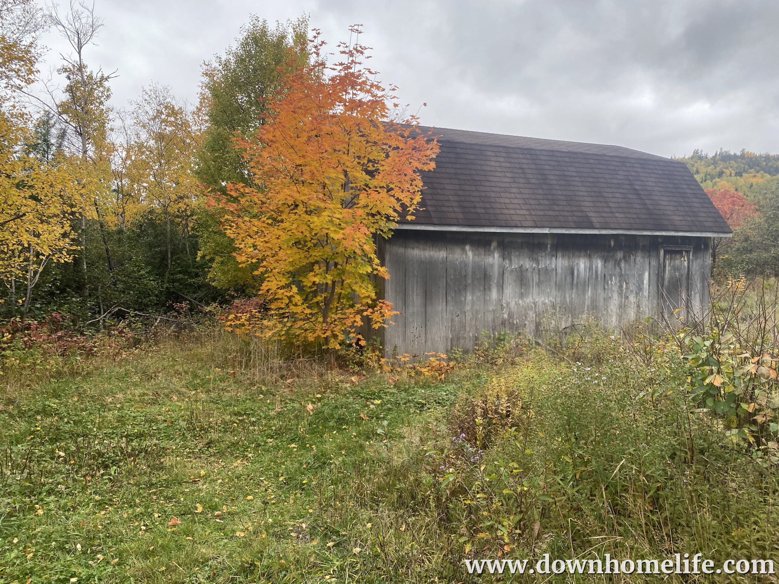 Main Gallery Display