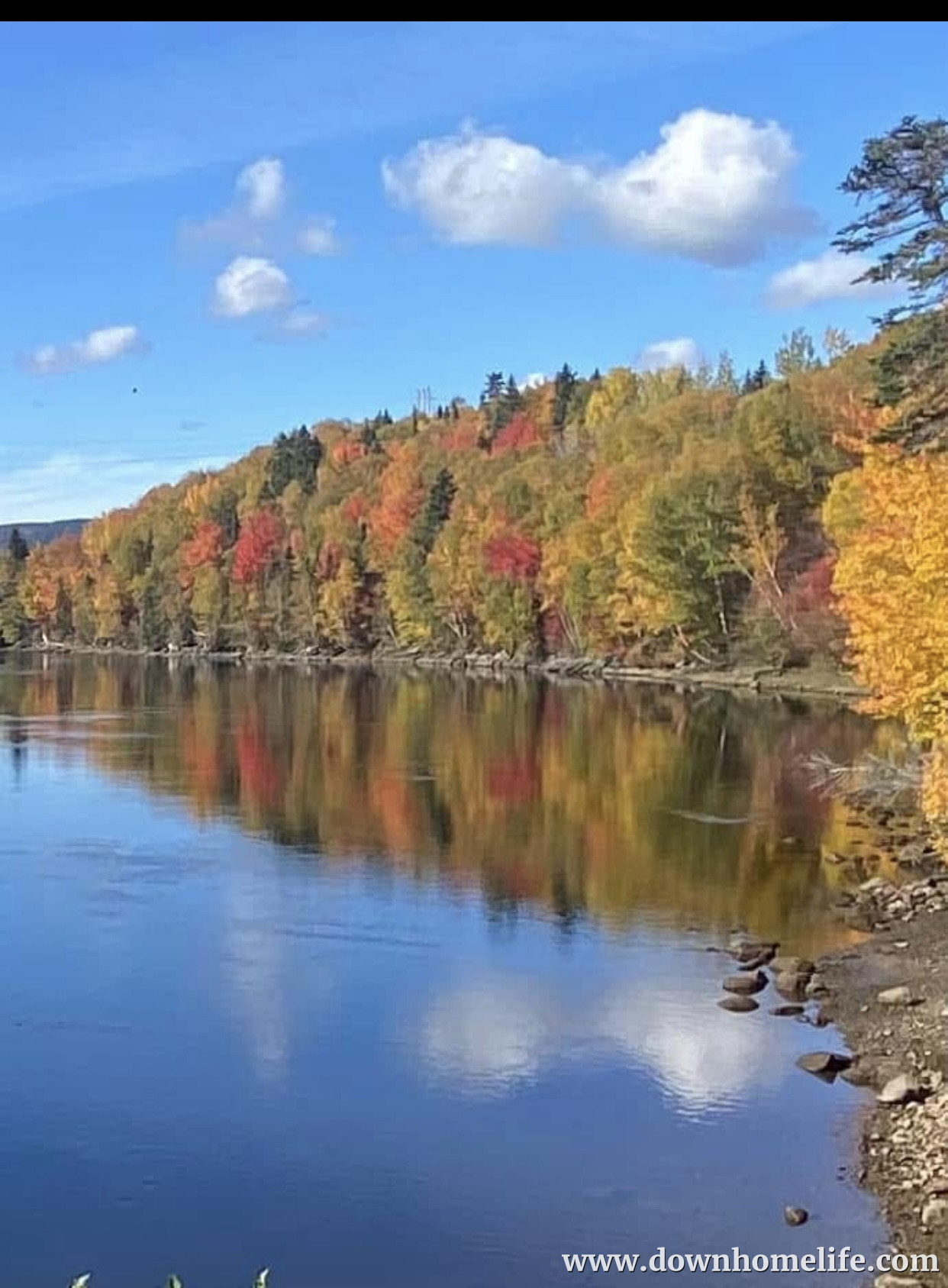 Main Gallery Display