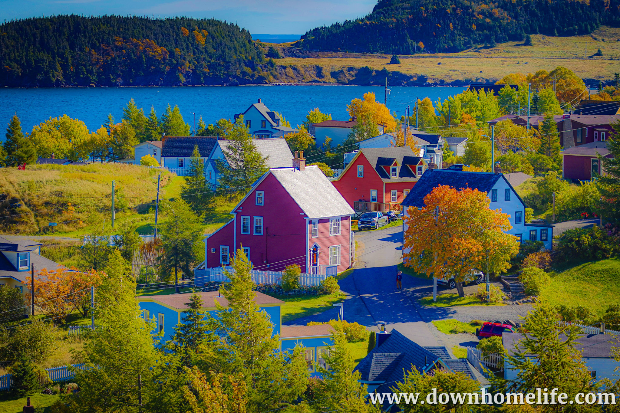 Main Gallery Display