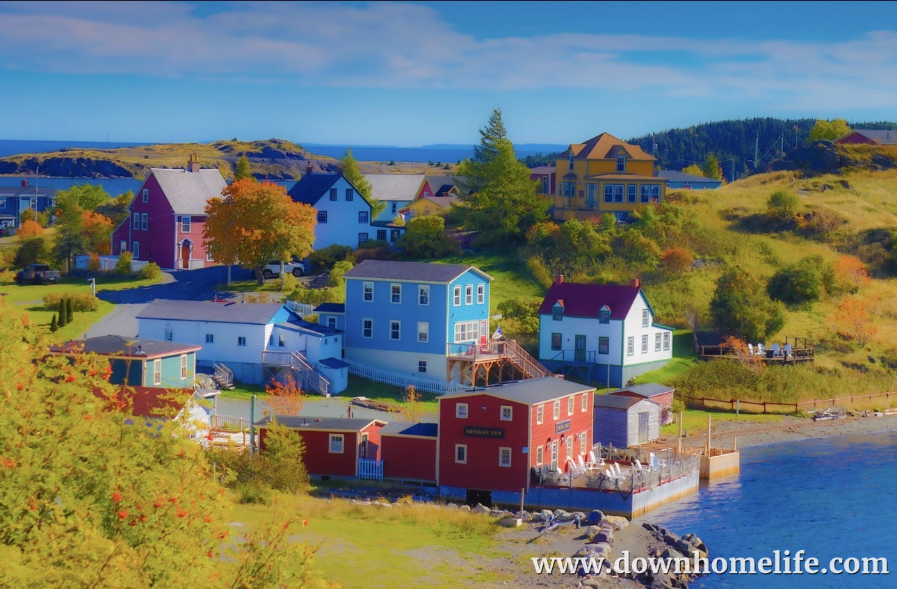 Main Gallery Display