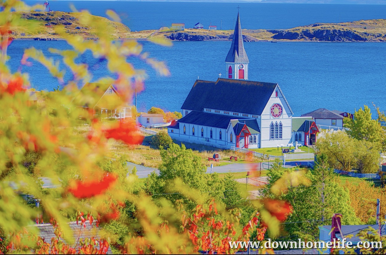 Main Gallery Display