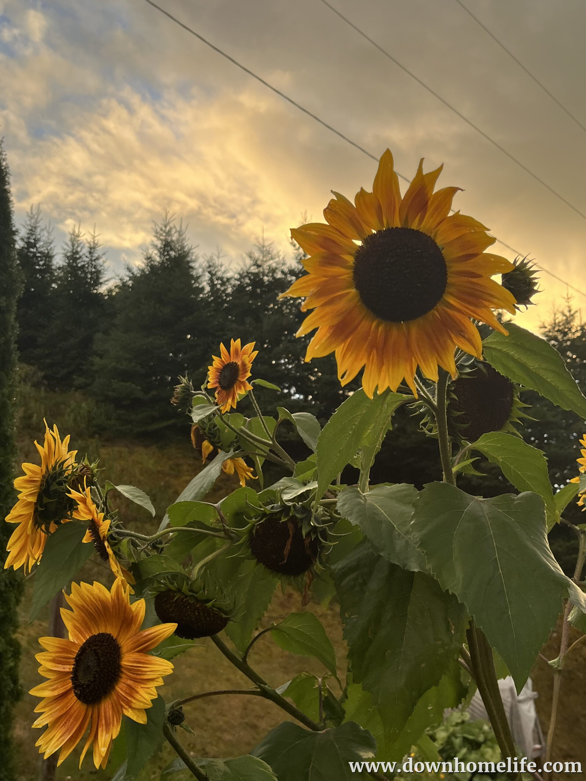Main Gallery Display