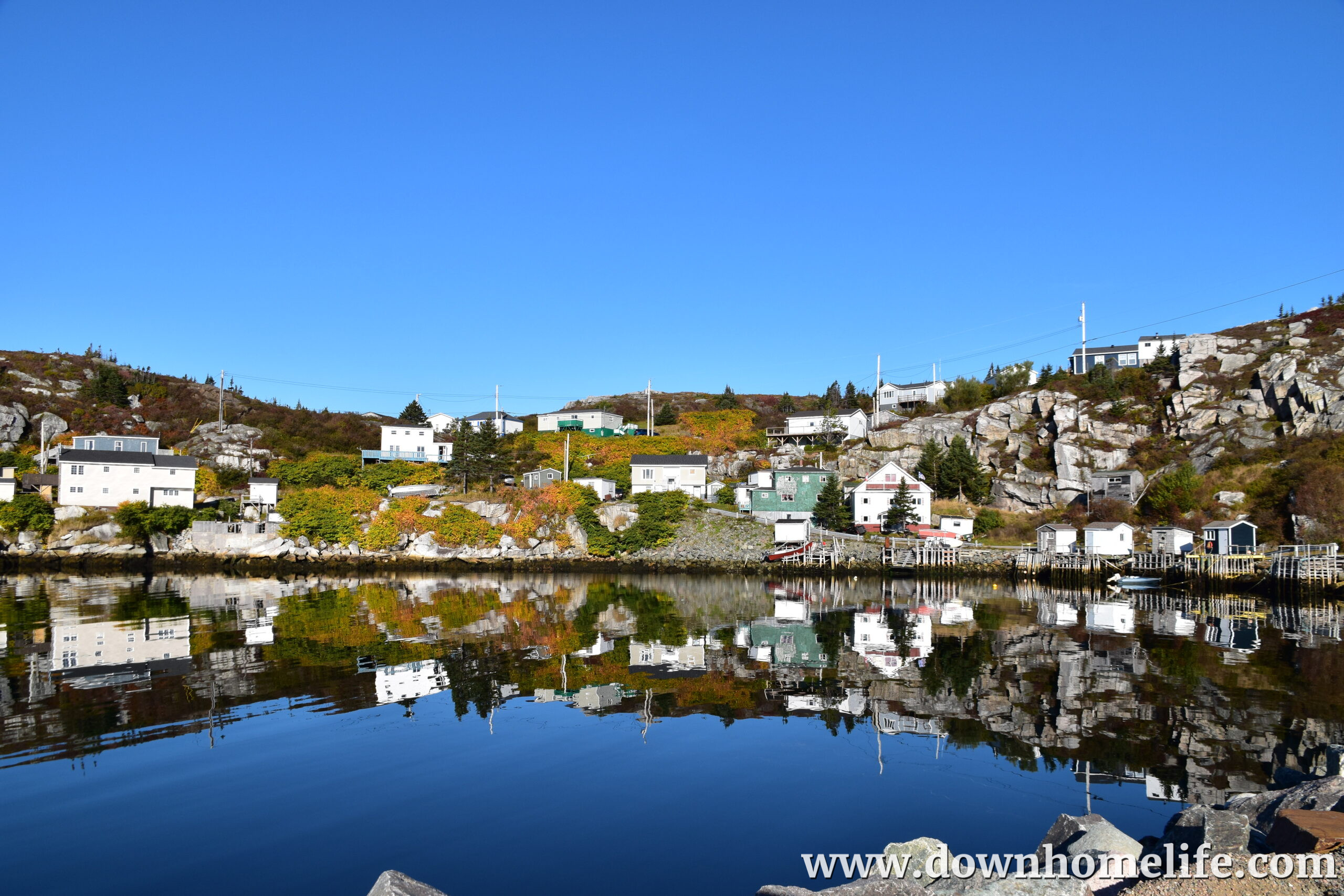 Main Gallery Display