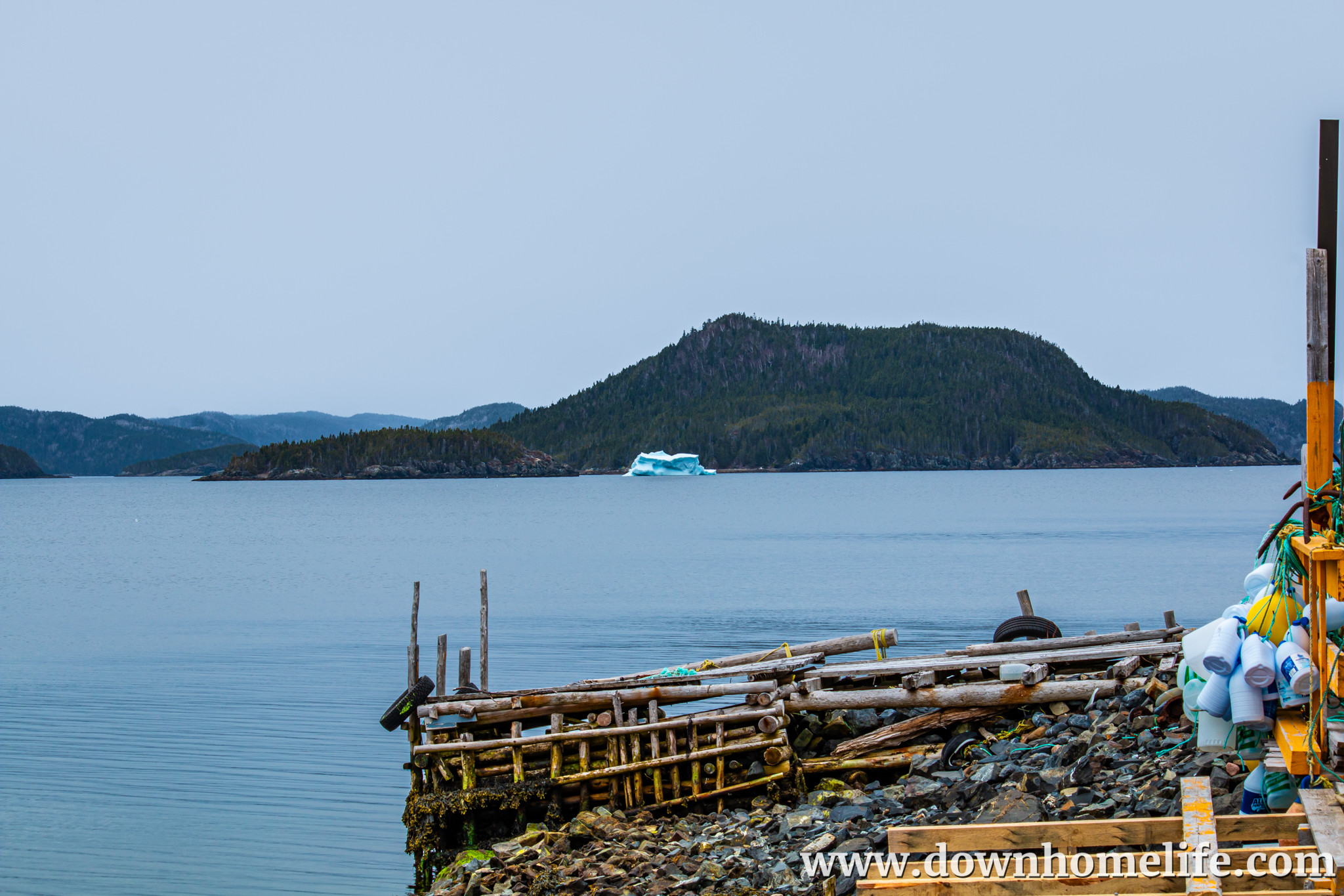 Main Gallery Display