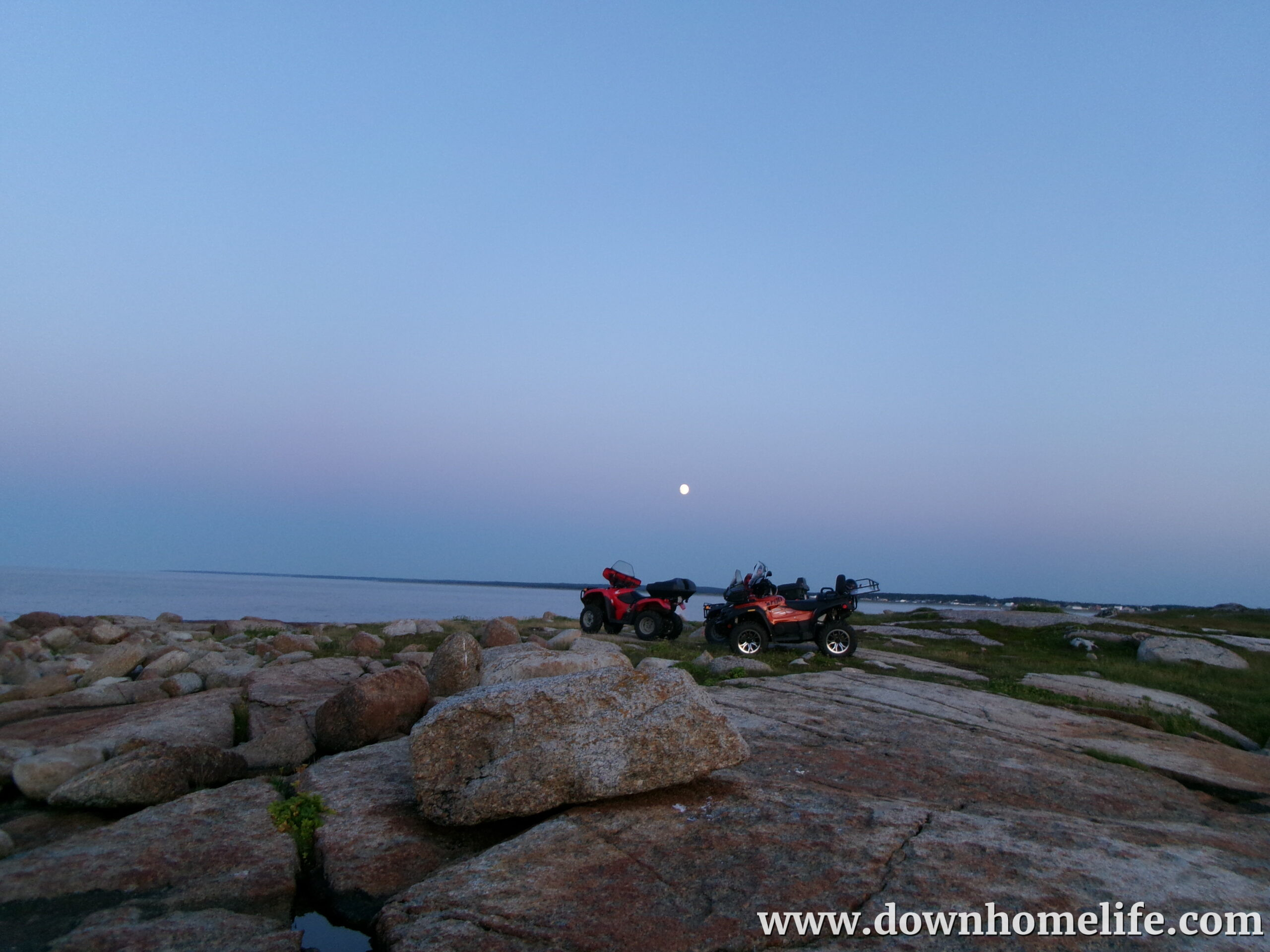 Main Gallery Display