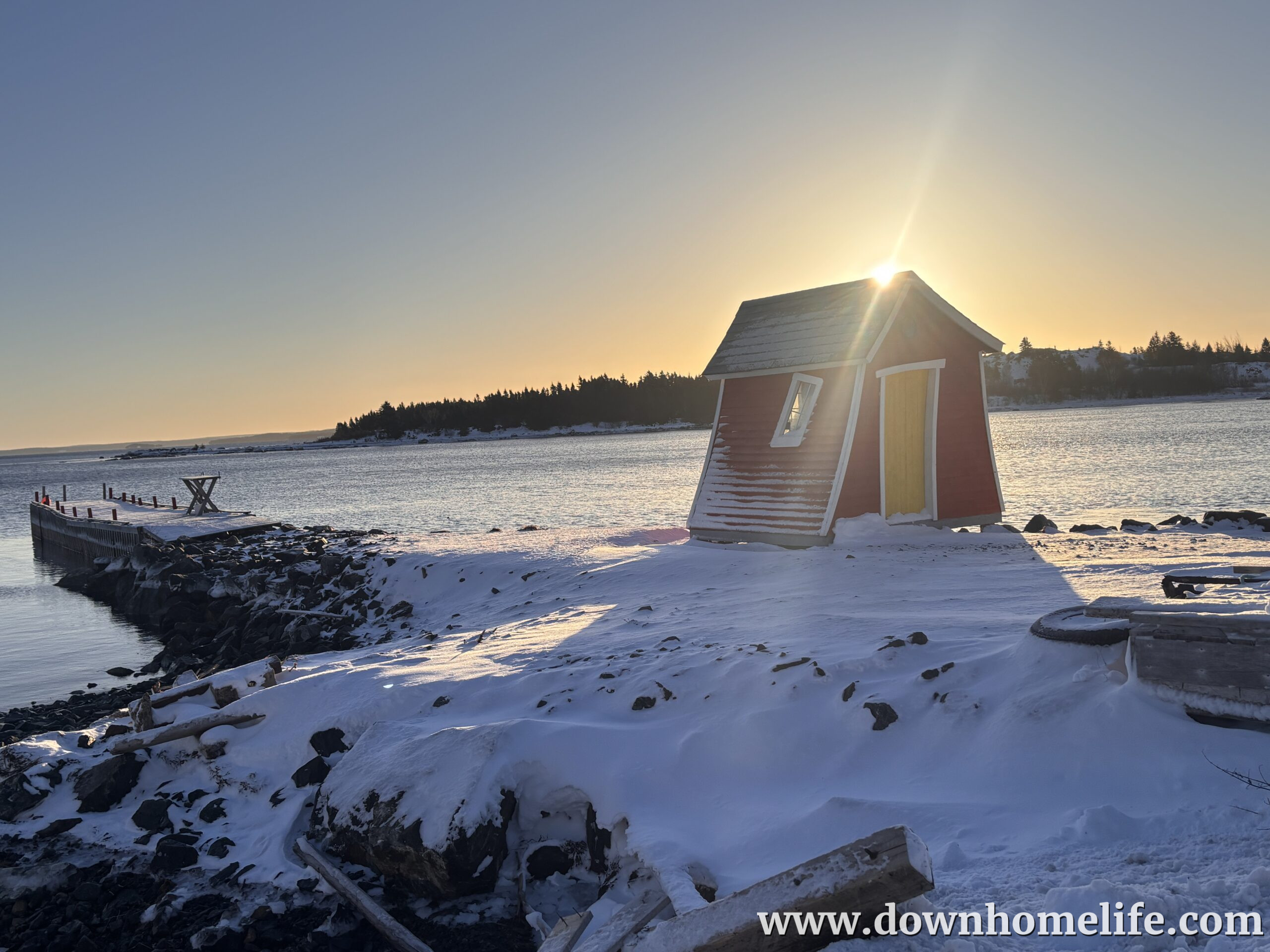 Main Gallery Display