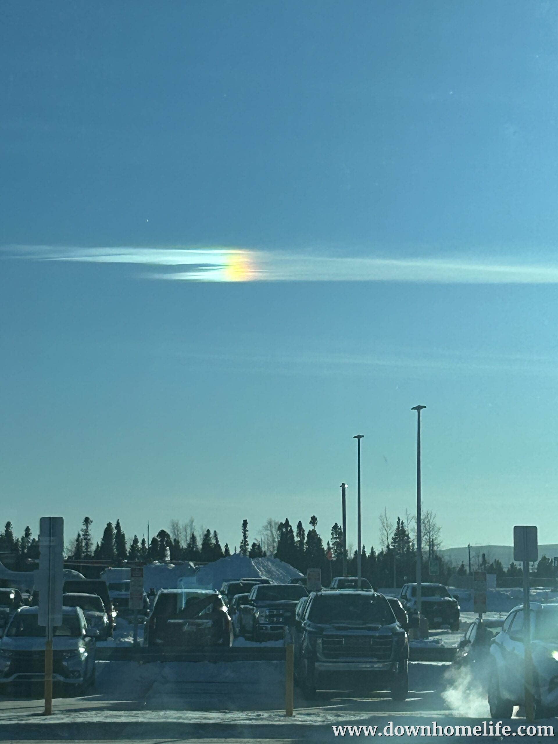 Main Gallery Display