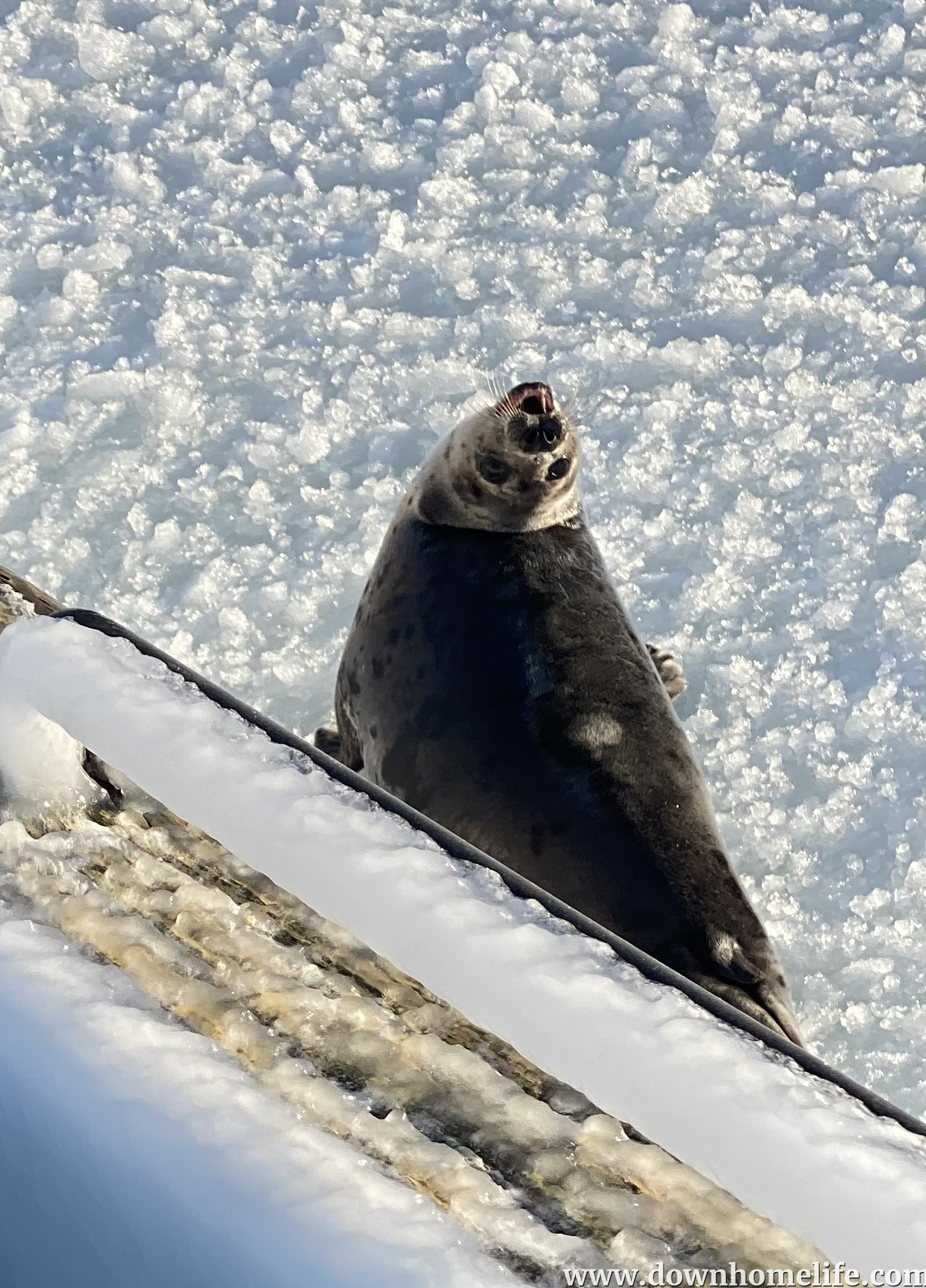 Main Gallery Display