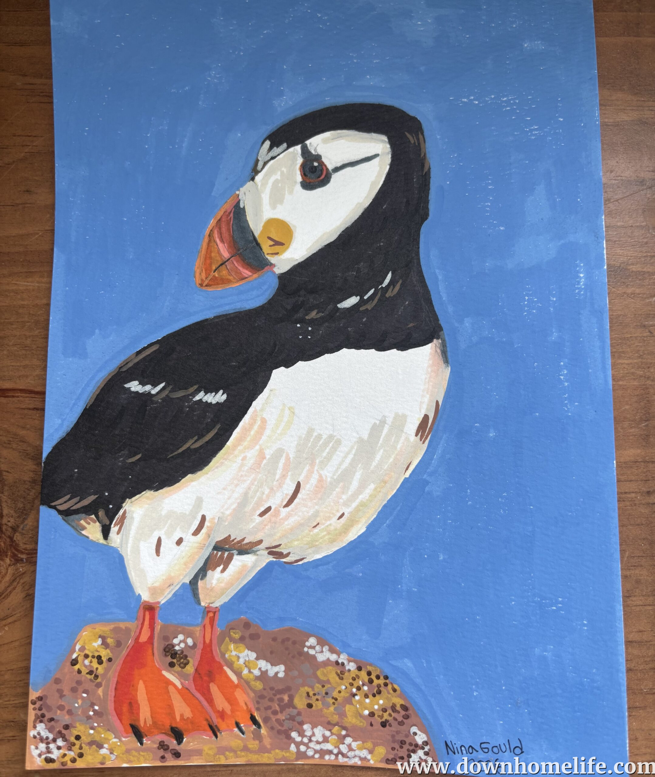 Main Gallery Display