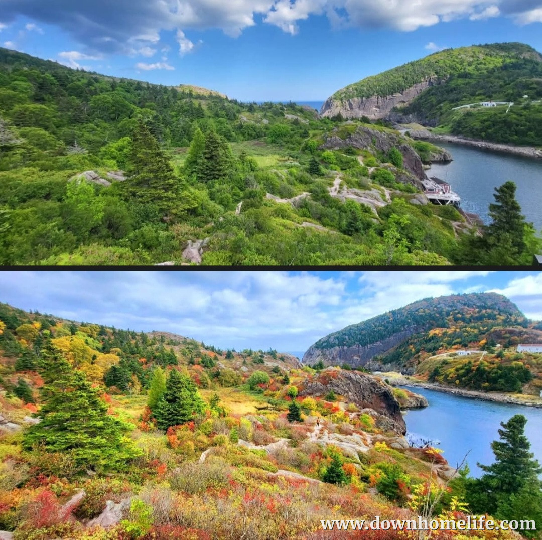 Main Gallery Display