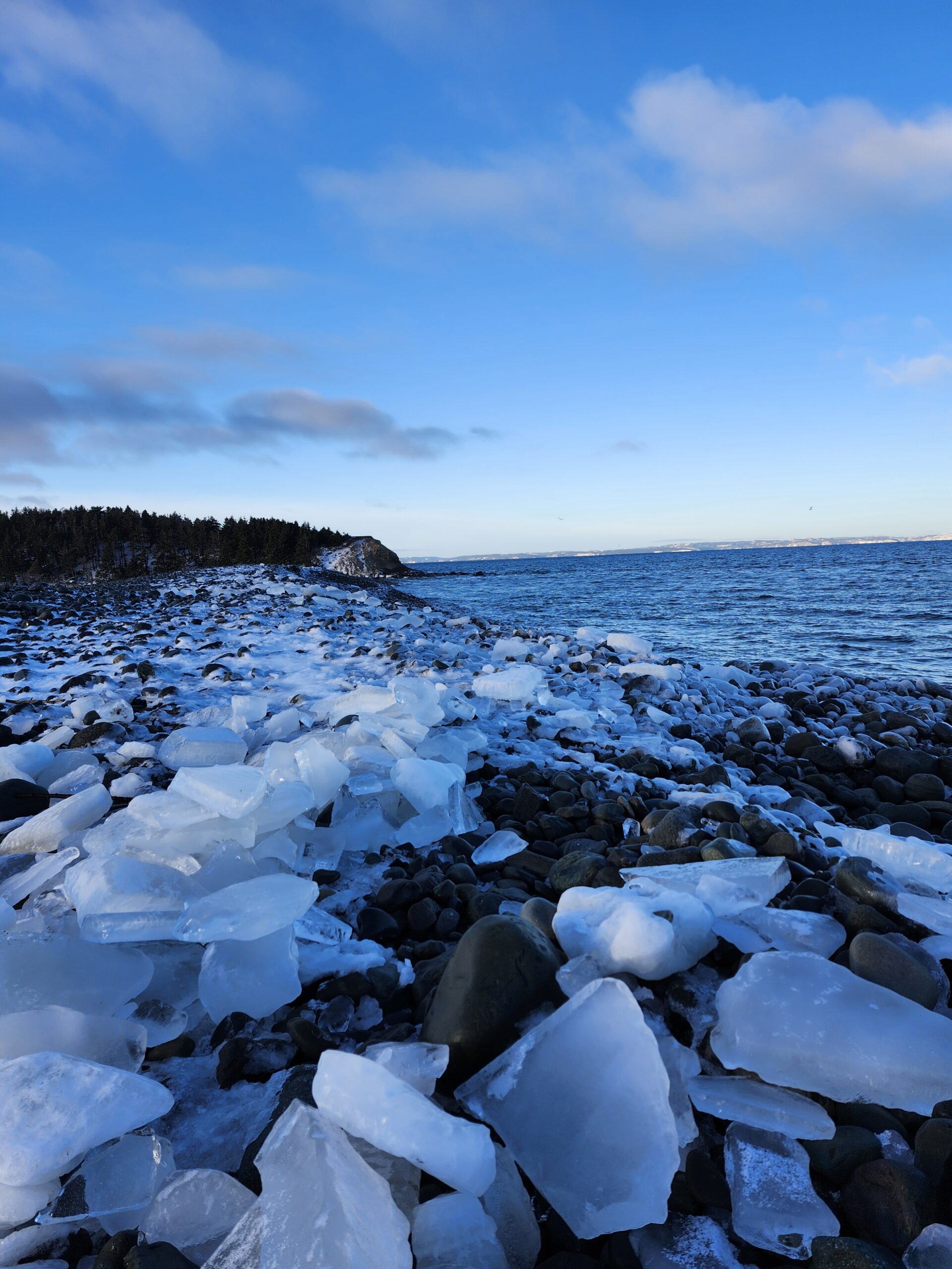 Main Gallery Display