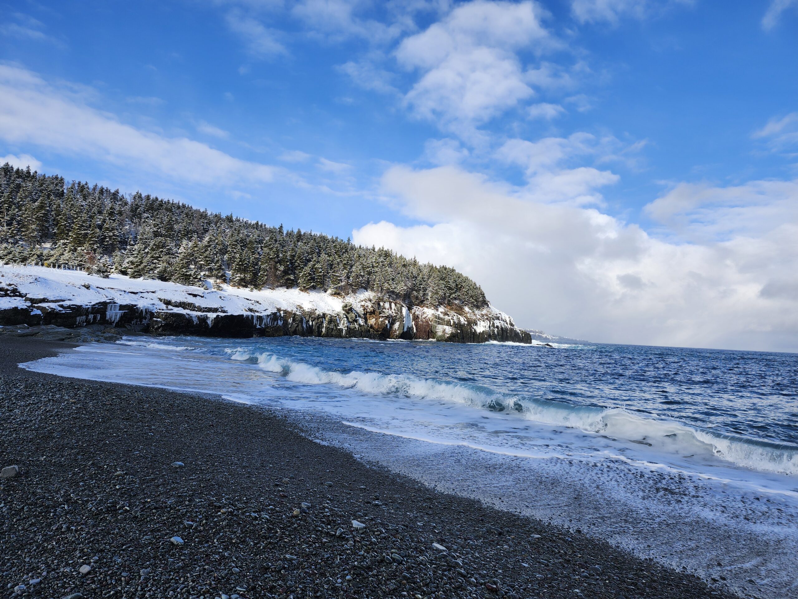 Main Gallery Display