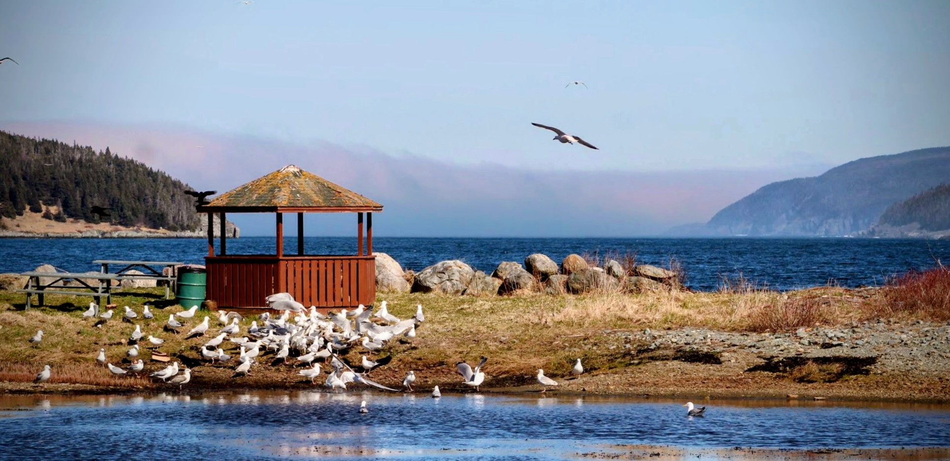 Main Gallery Display