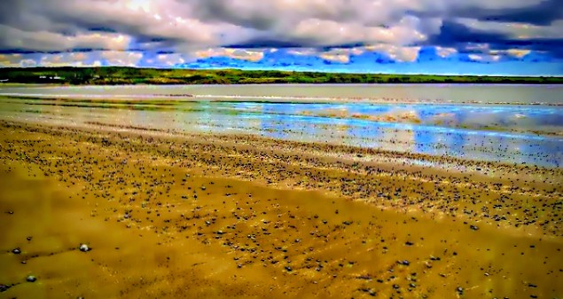 Main Gallery Display
