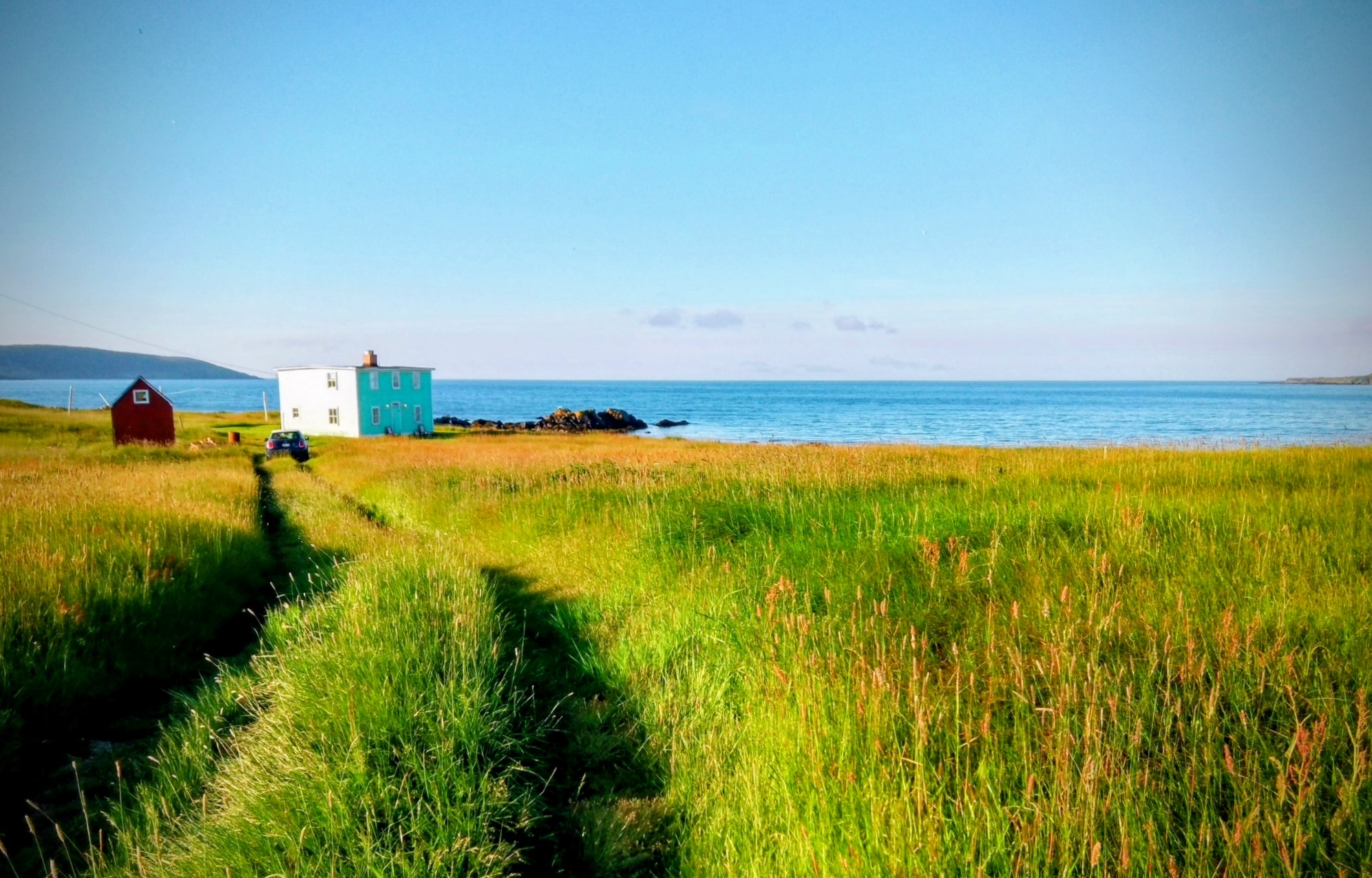 Main Gallery Display