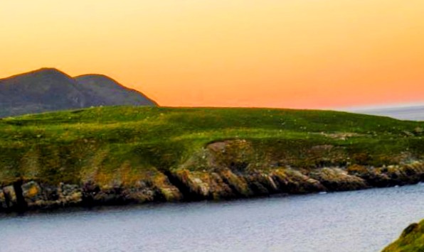 Main Gallery Display