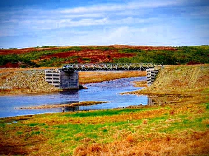 Main Gallery Display