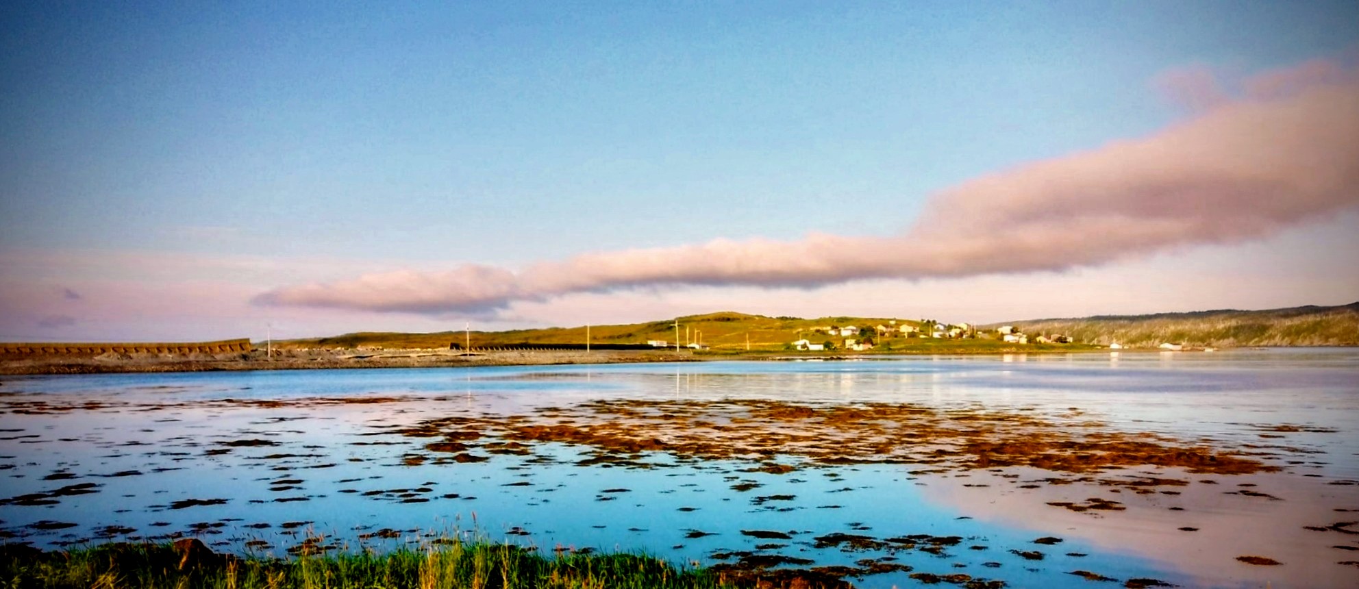 Main Gallery Display