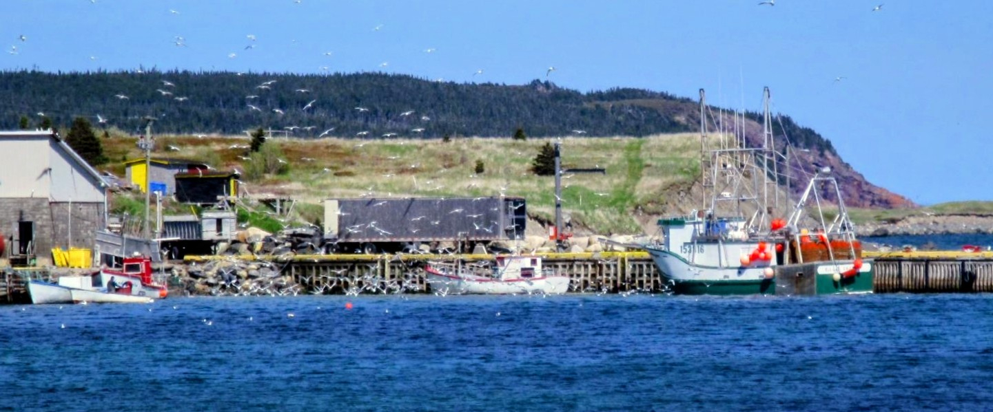 Main Gallery Display