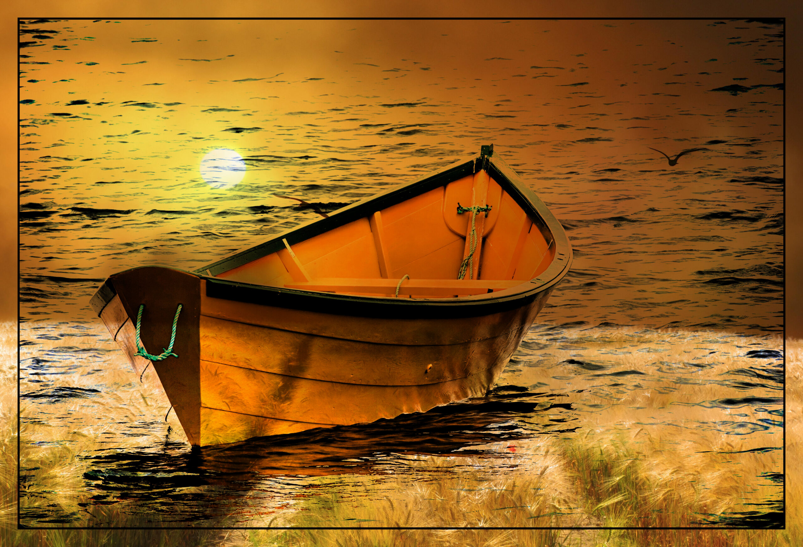 Main Gallery Display