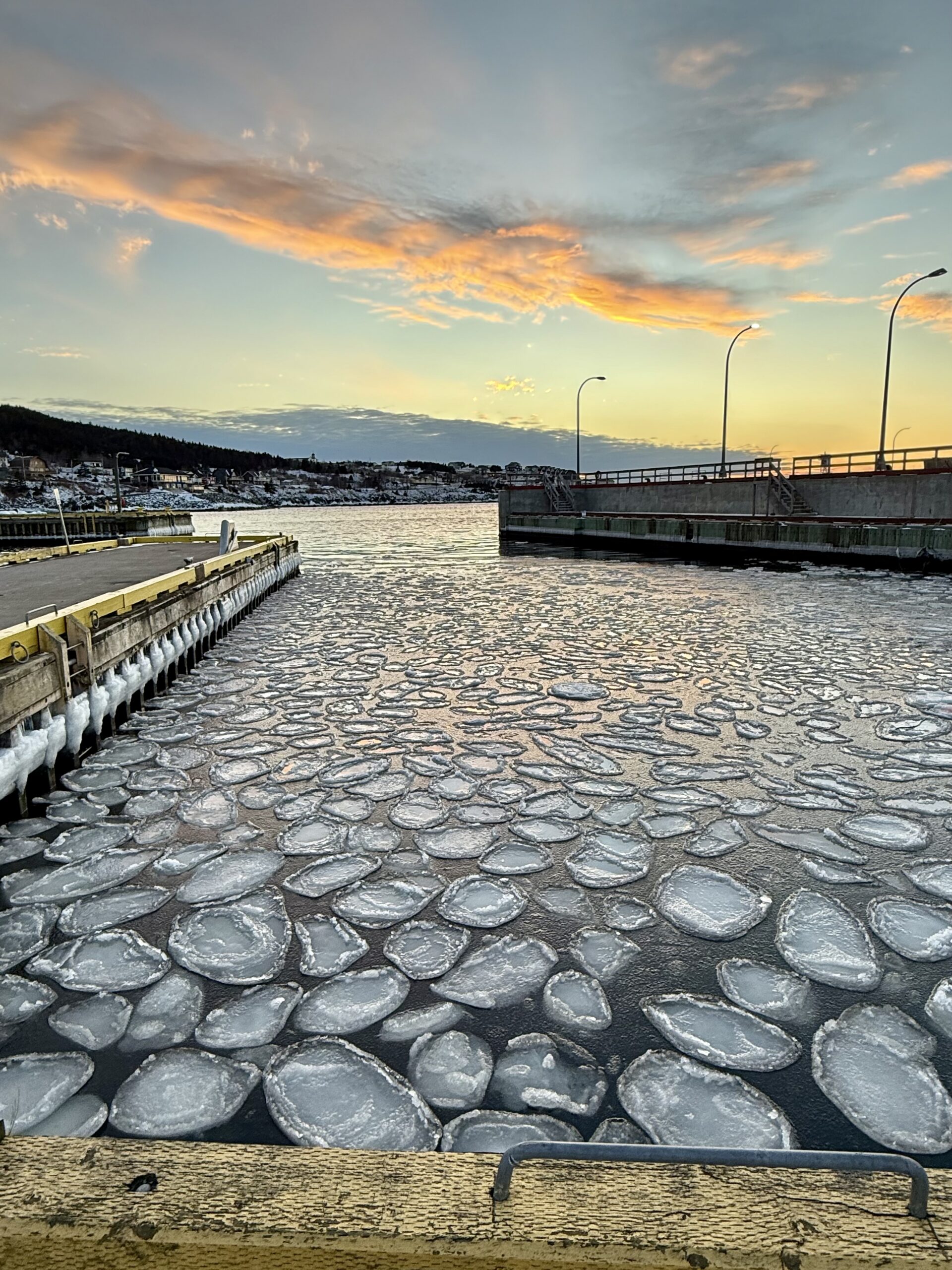 Main Gallery Display