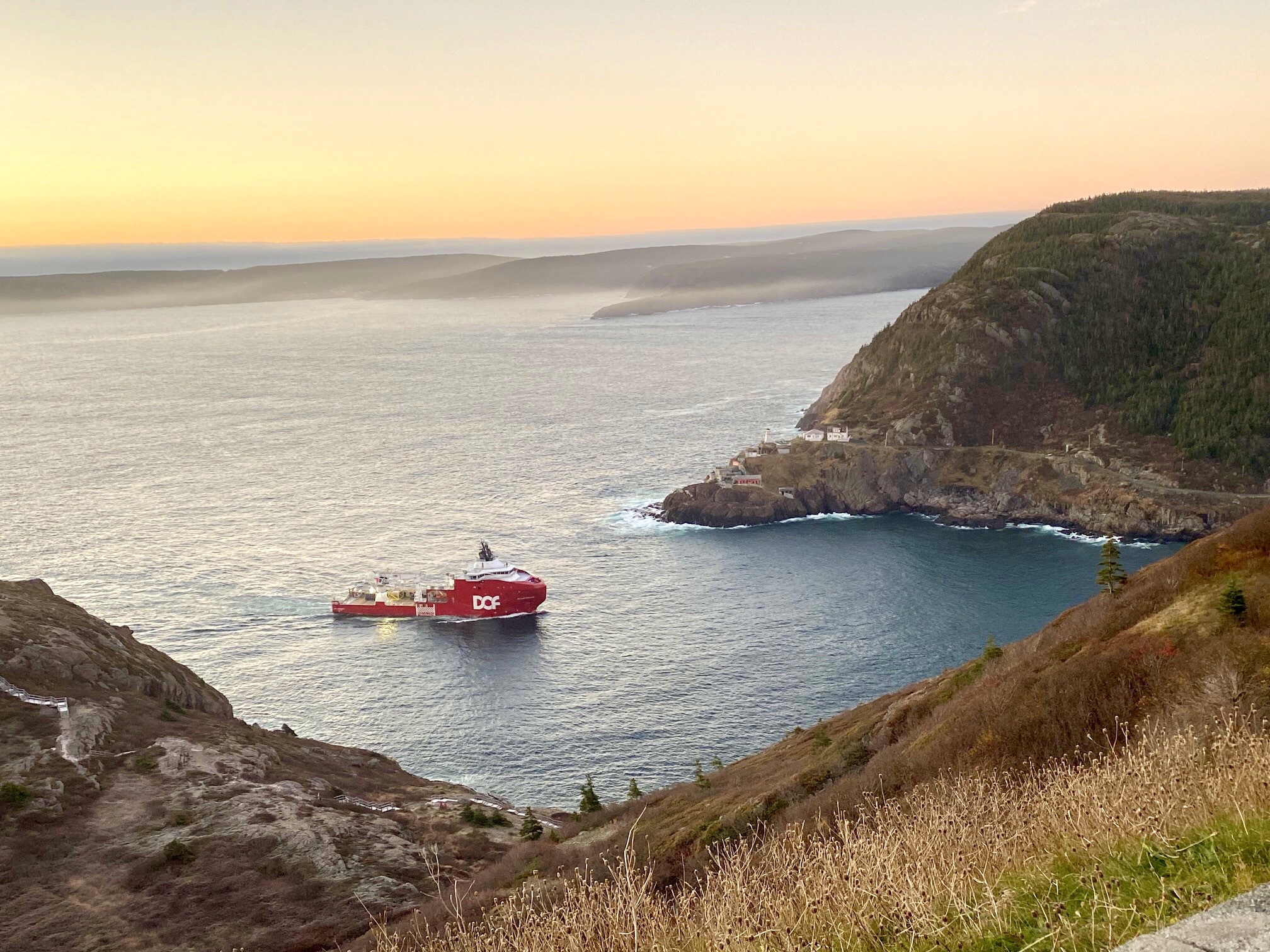 Main Gallery Display
