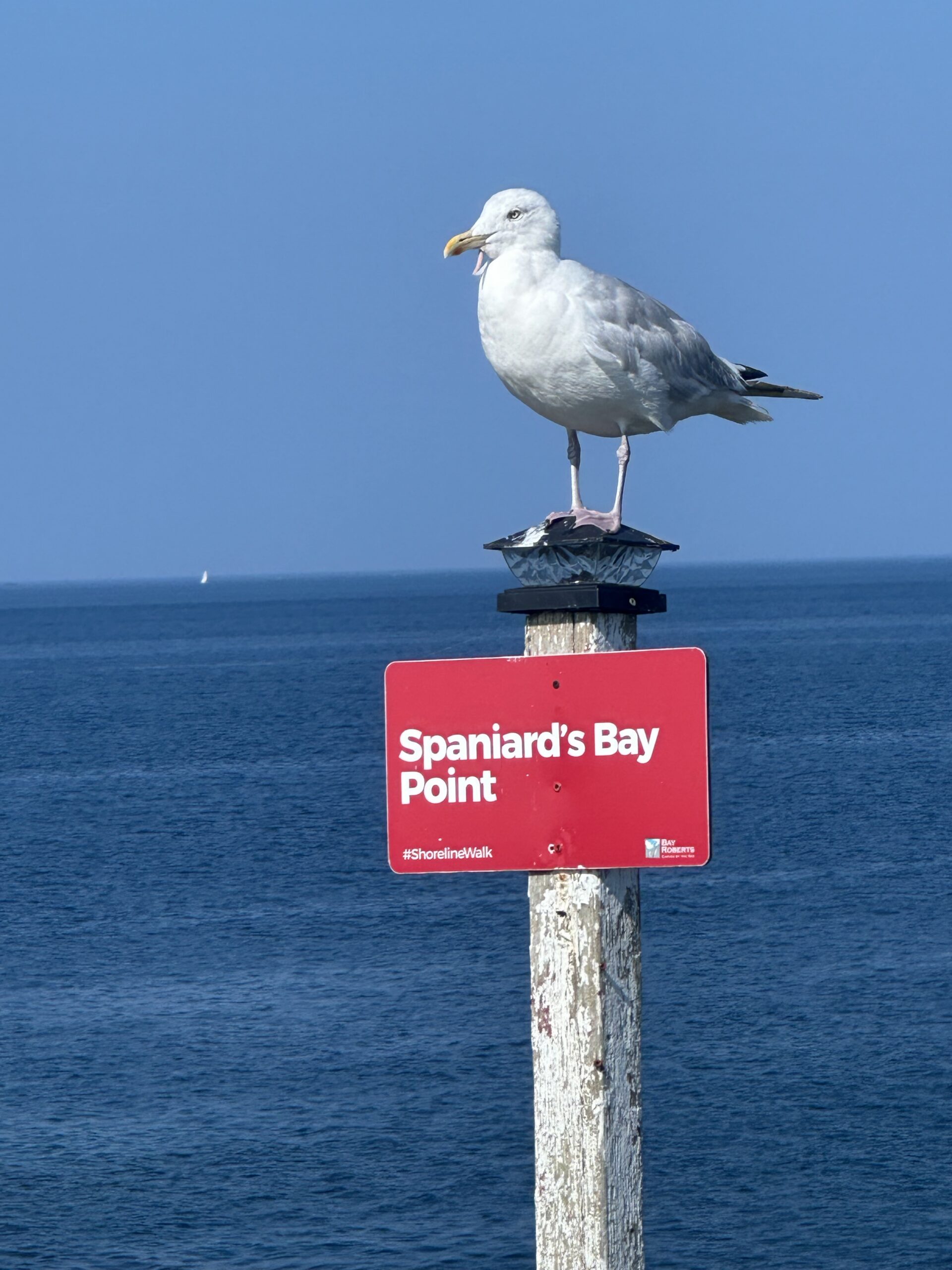Main Gallery Display