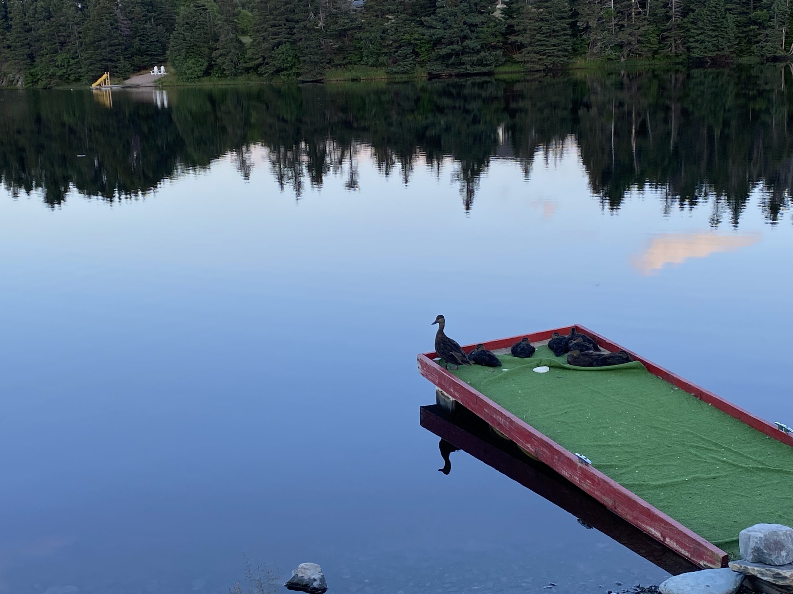 Main Gallery Display