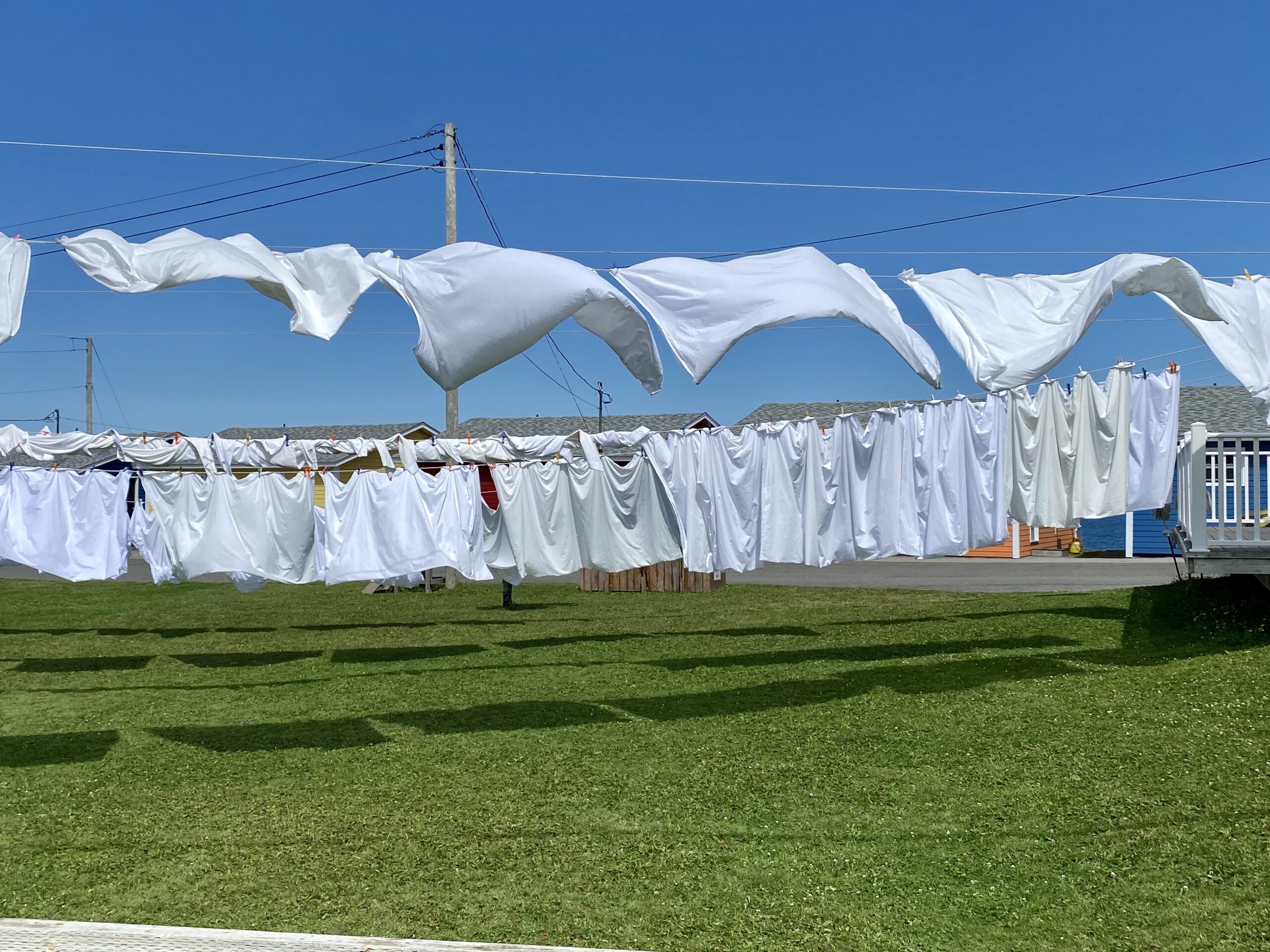 Main Gallery Display