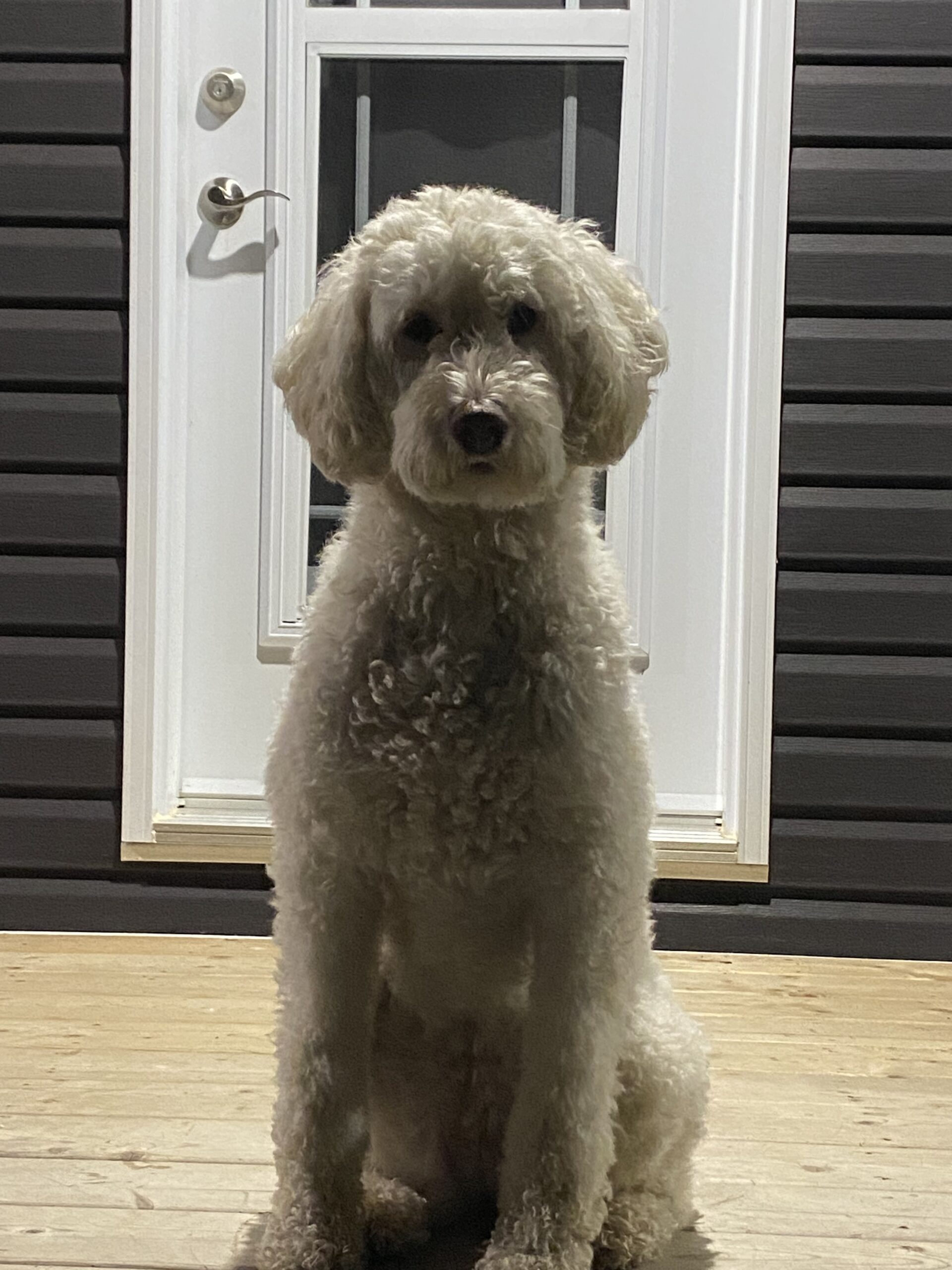 Main Gallery Display