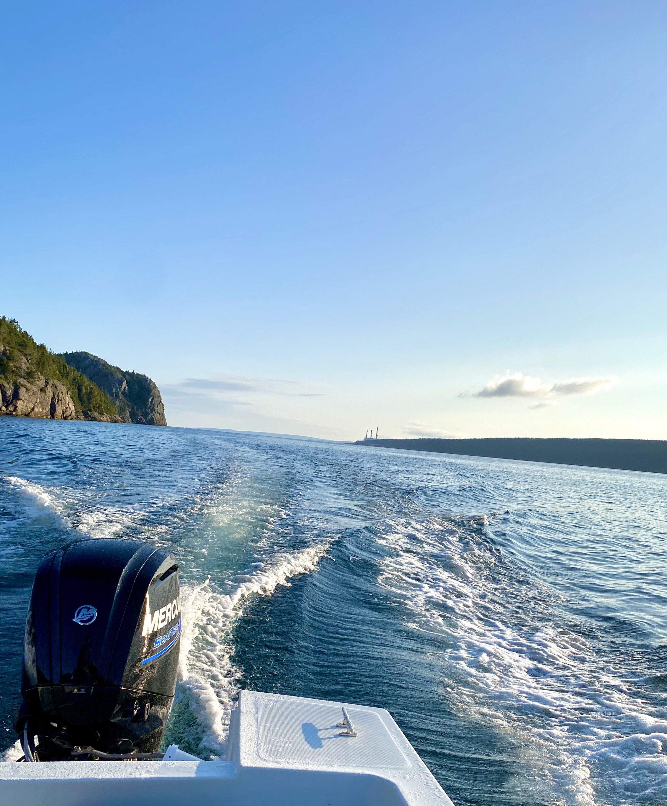 Main Gallery Display