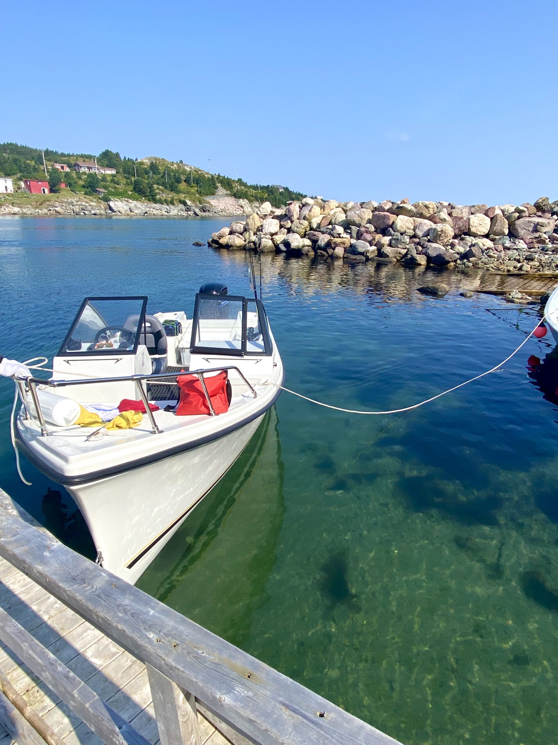 Main Gallery Display