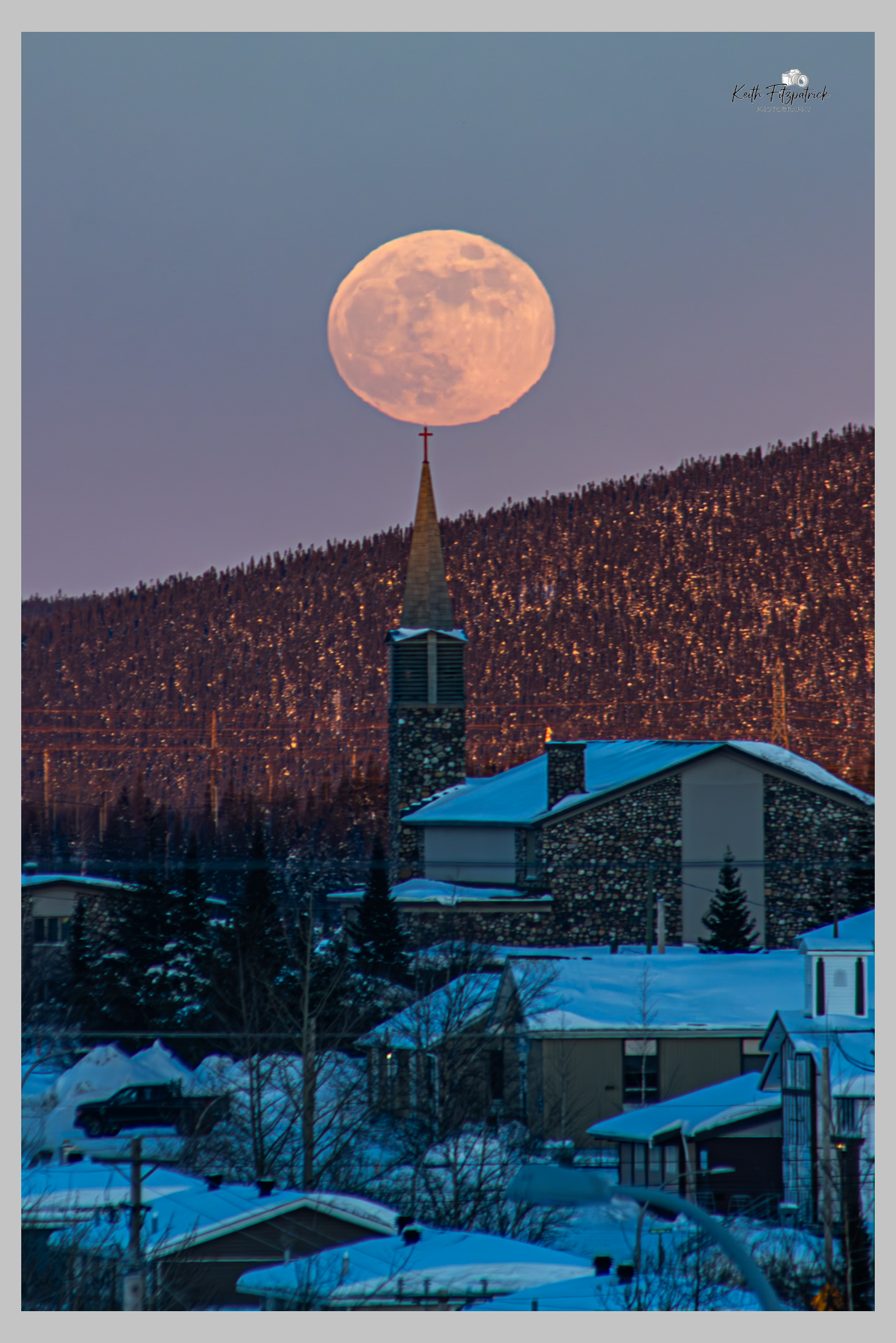Main Gallery Display