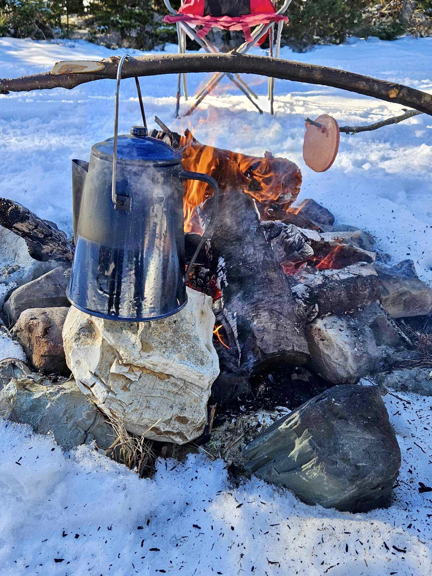 Main Gallery Display